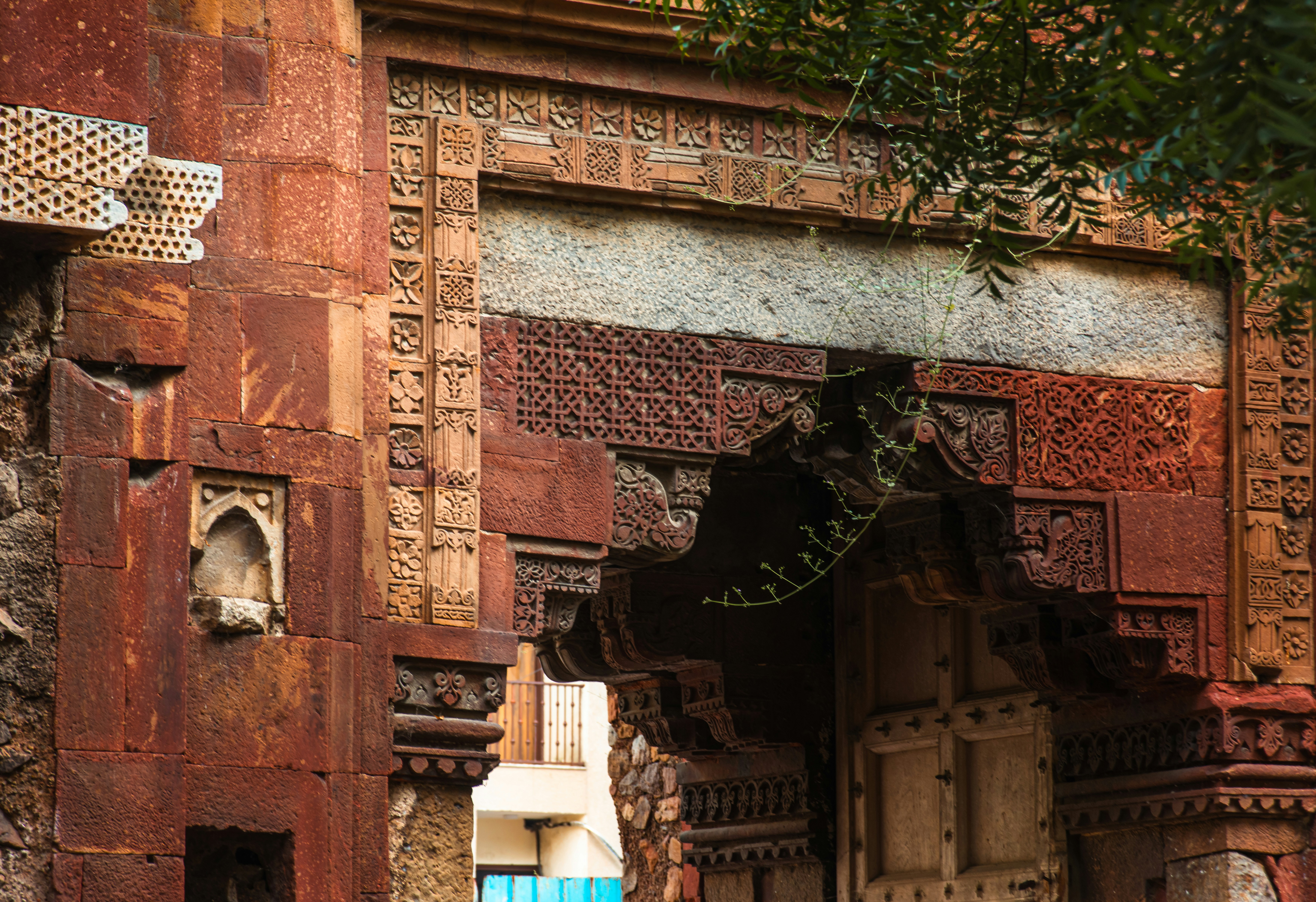 Photo by zoshuacolah