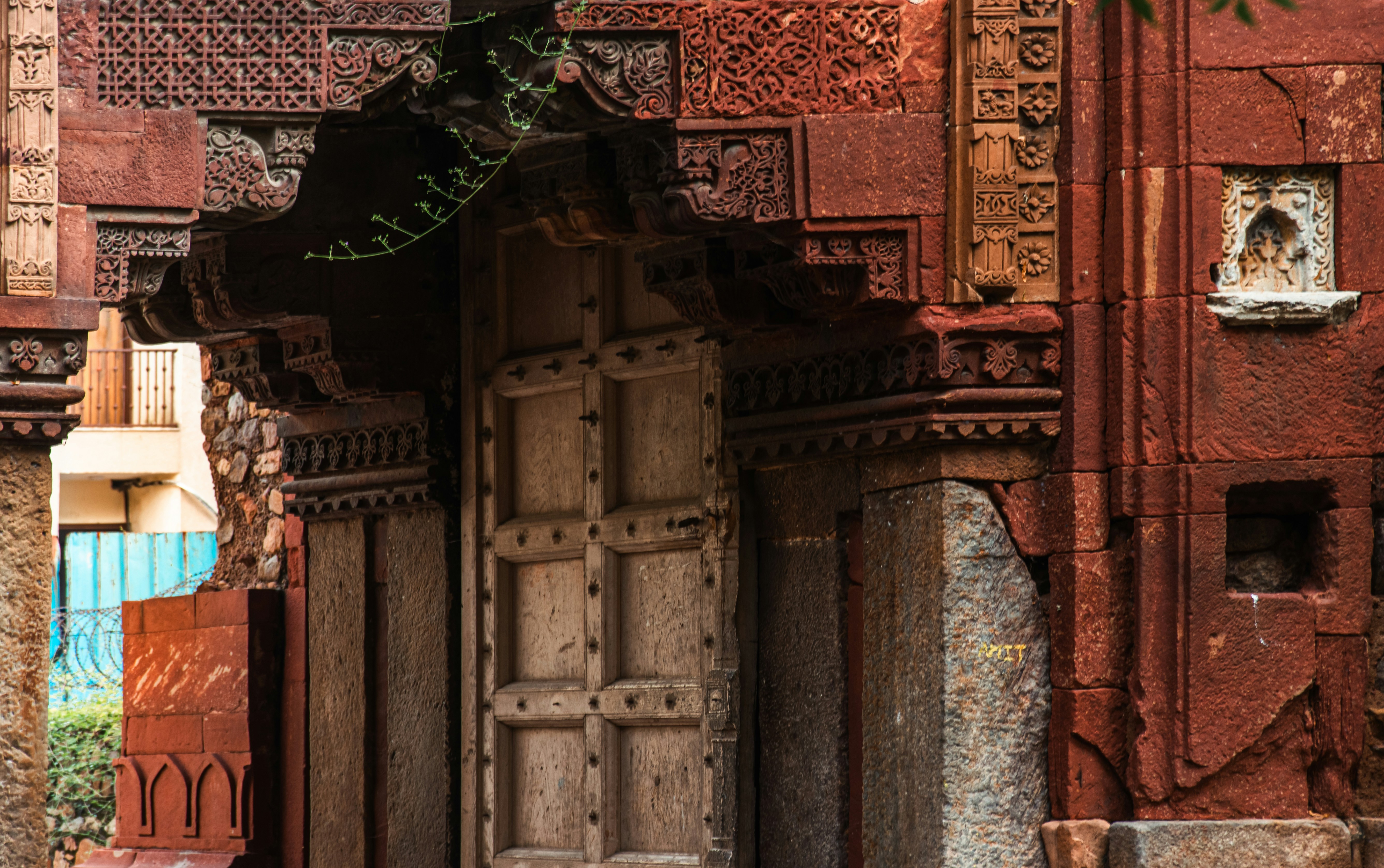 Photo by zoshuacolah