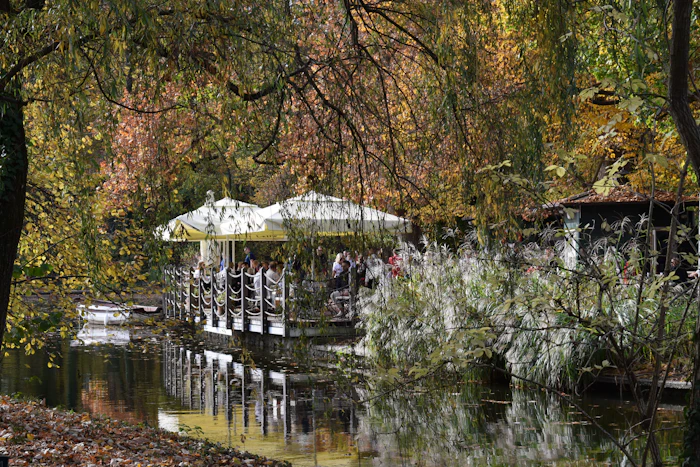 Eco Friendly Resorts