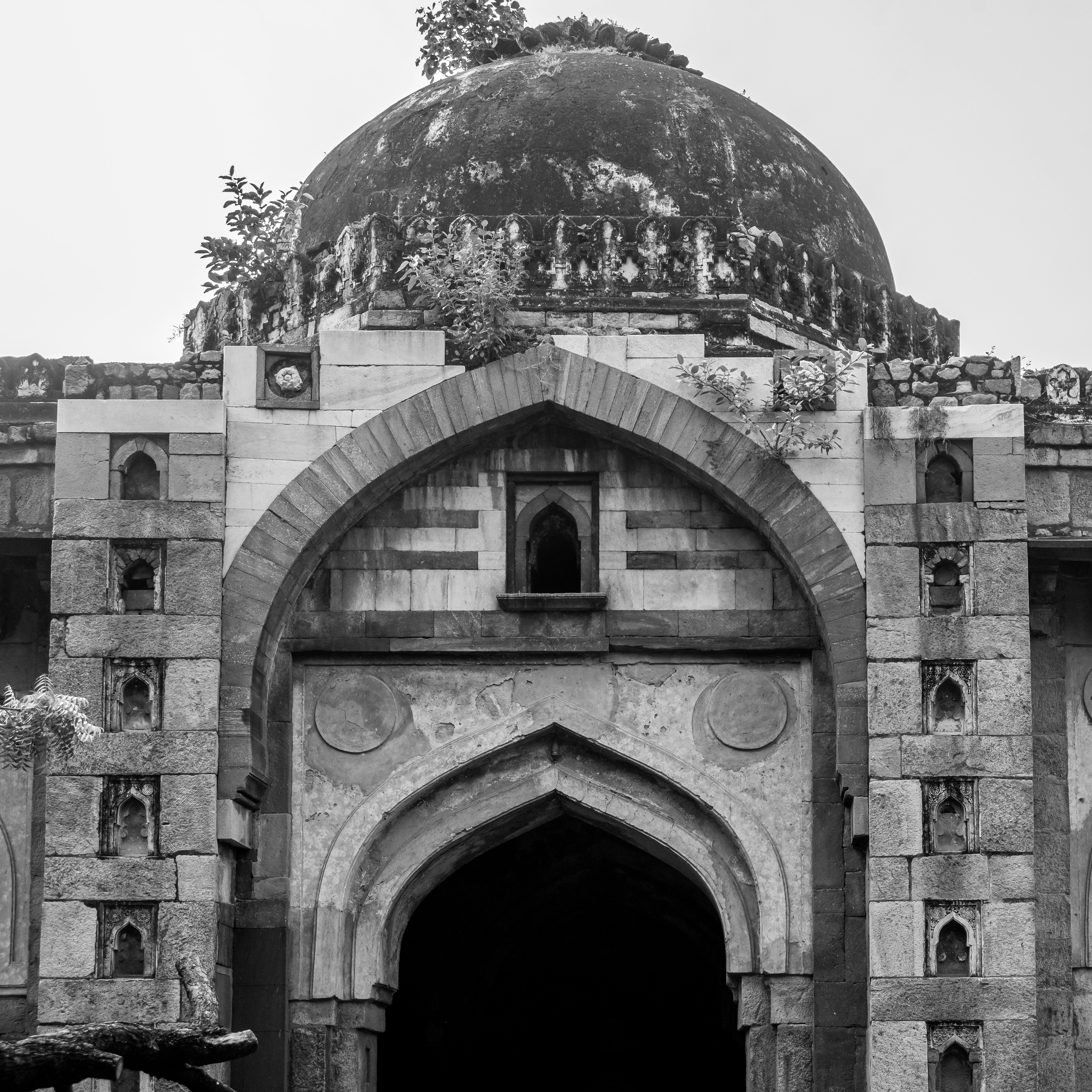 Photo by zoshuacolah