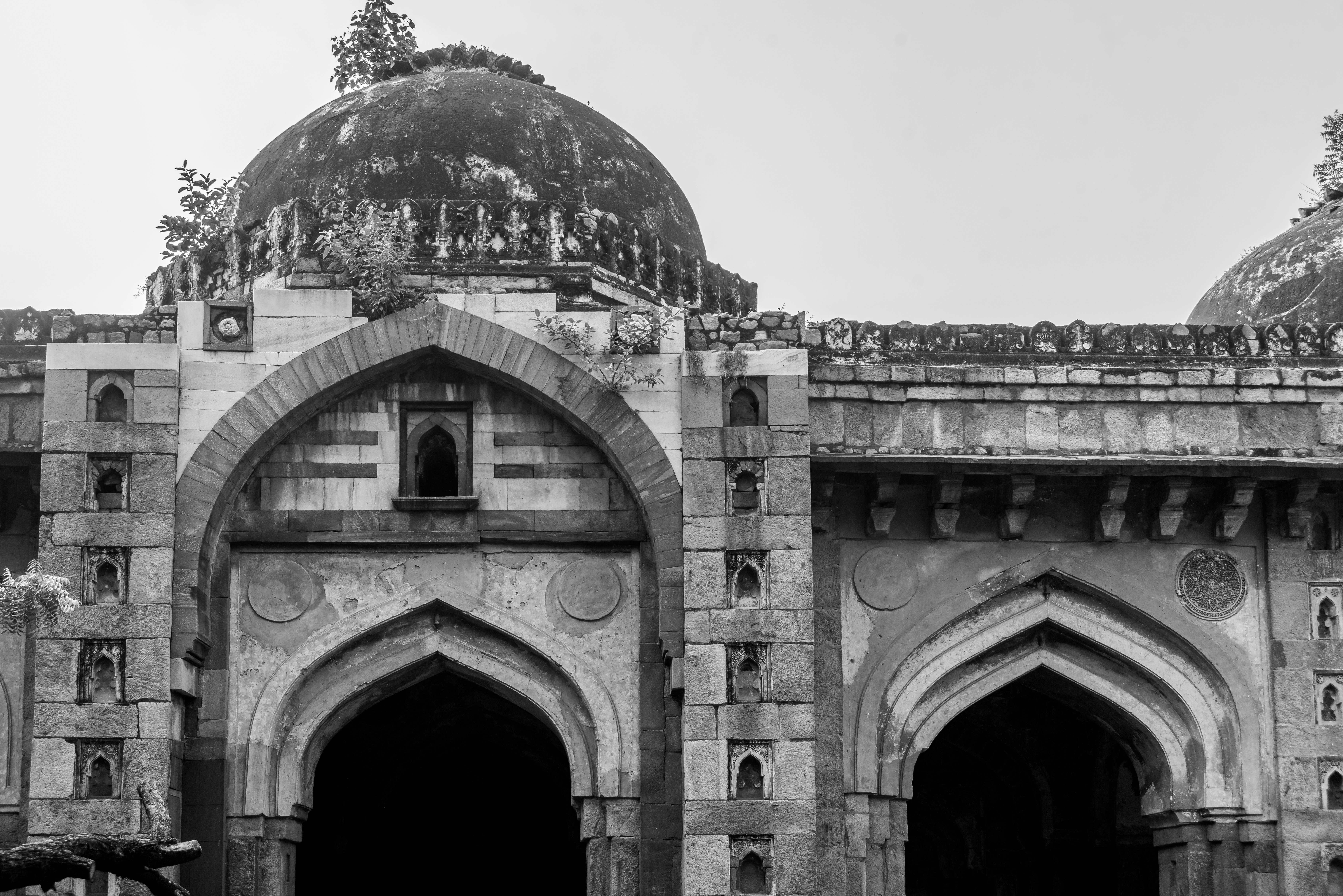 Photo by zoshuacolah