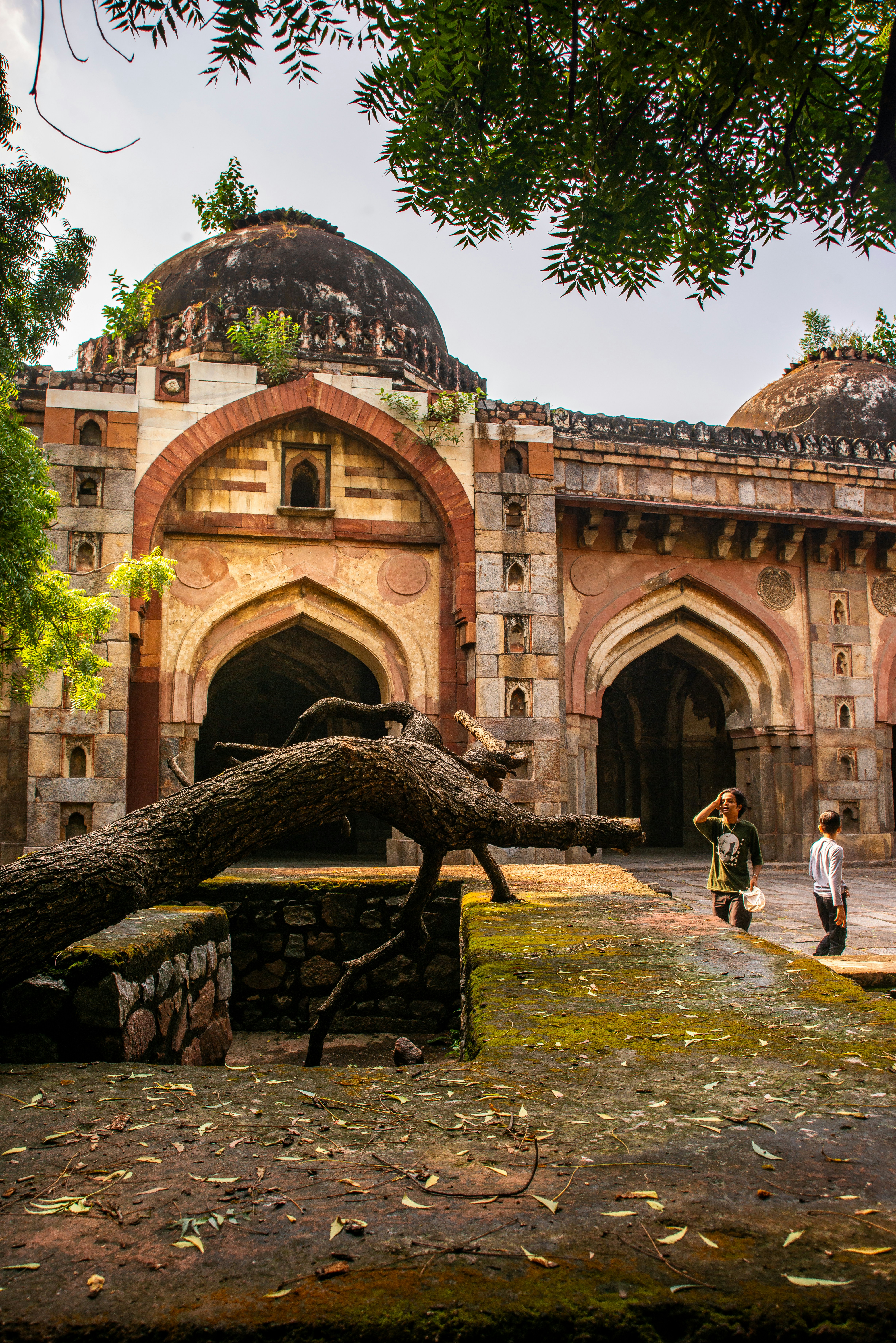 Photo by zoshuacolah