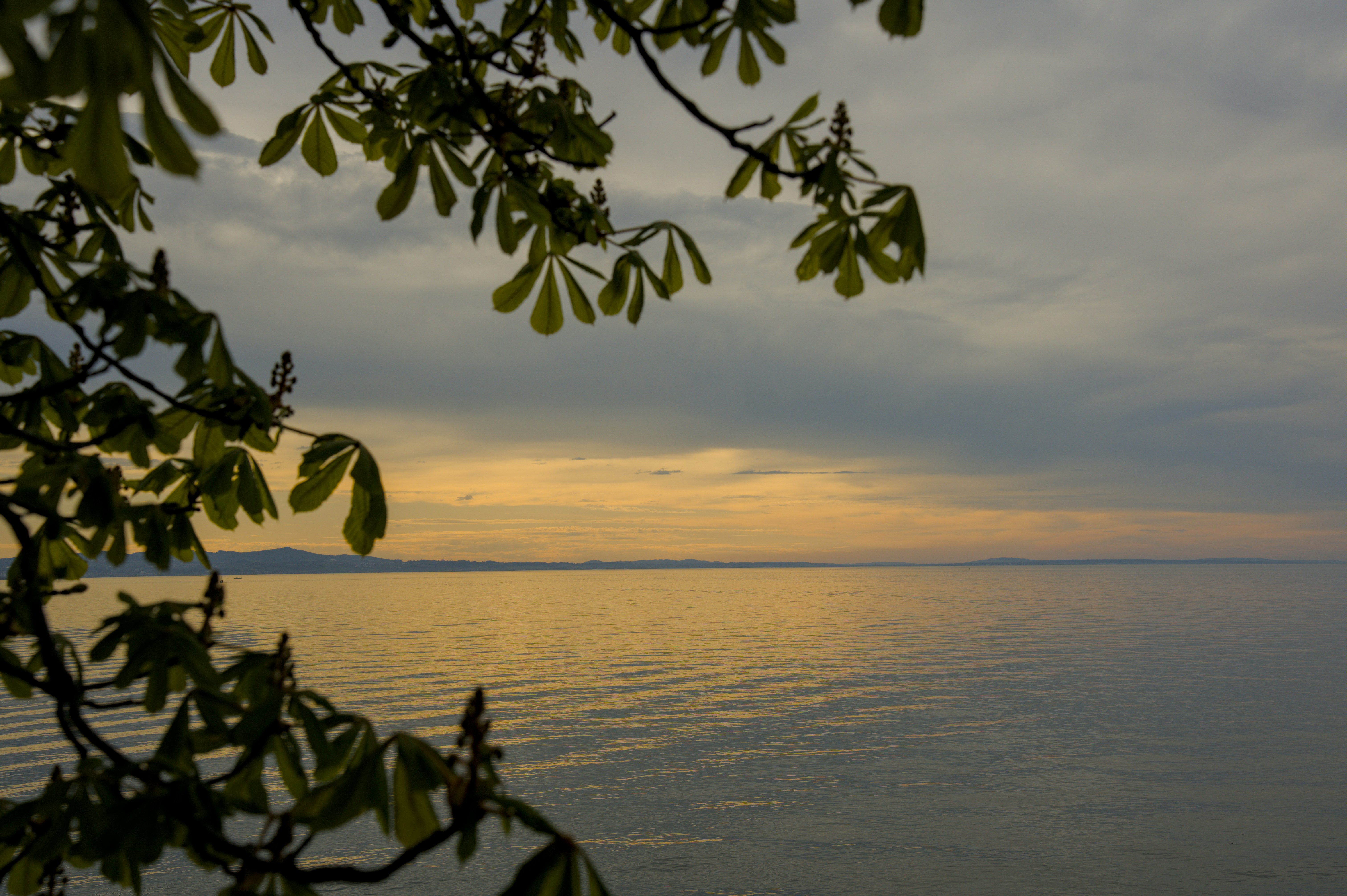 Photo by valentin_karisch