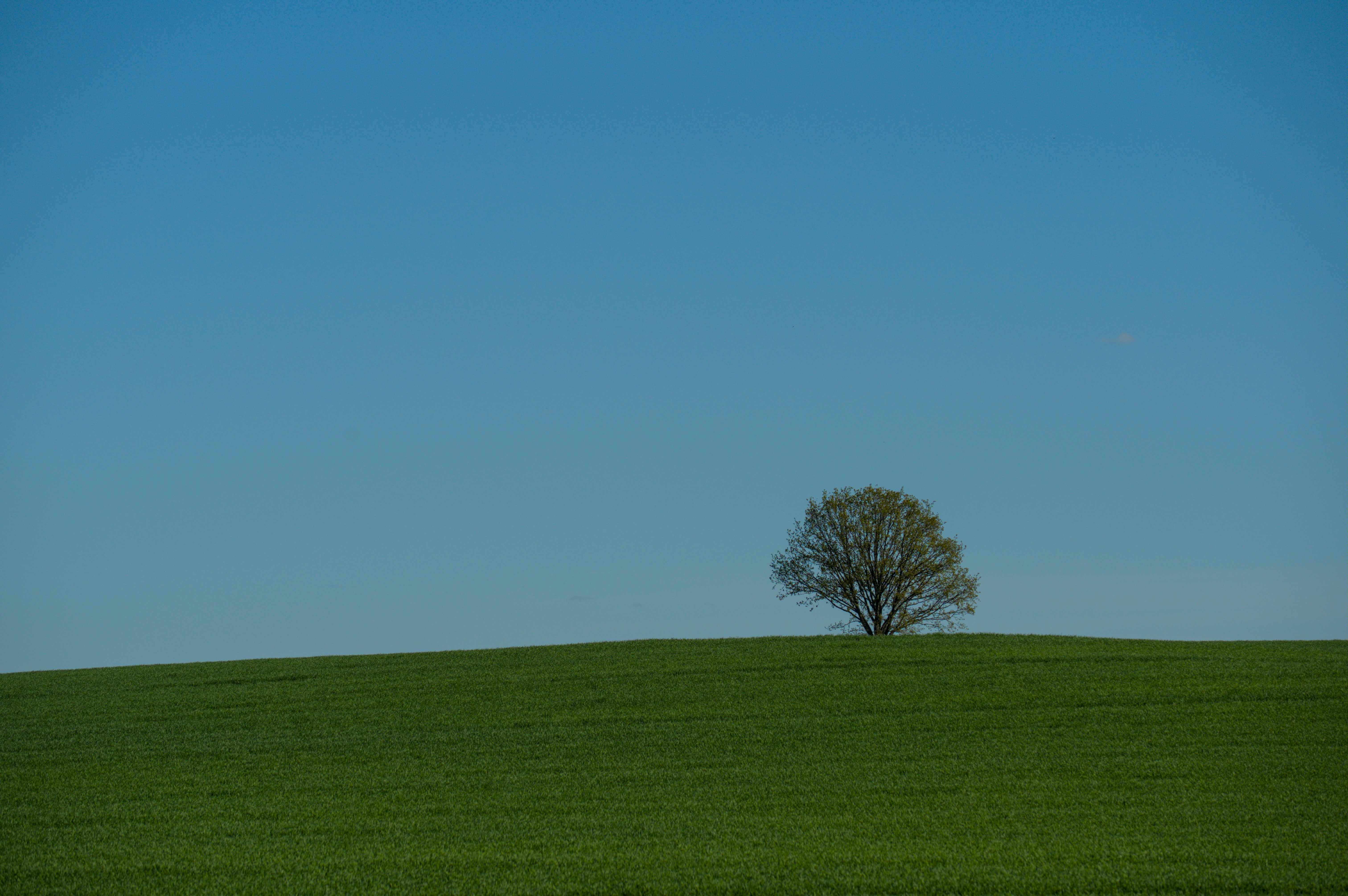 Photo by valentin_karisch