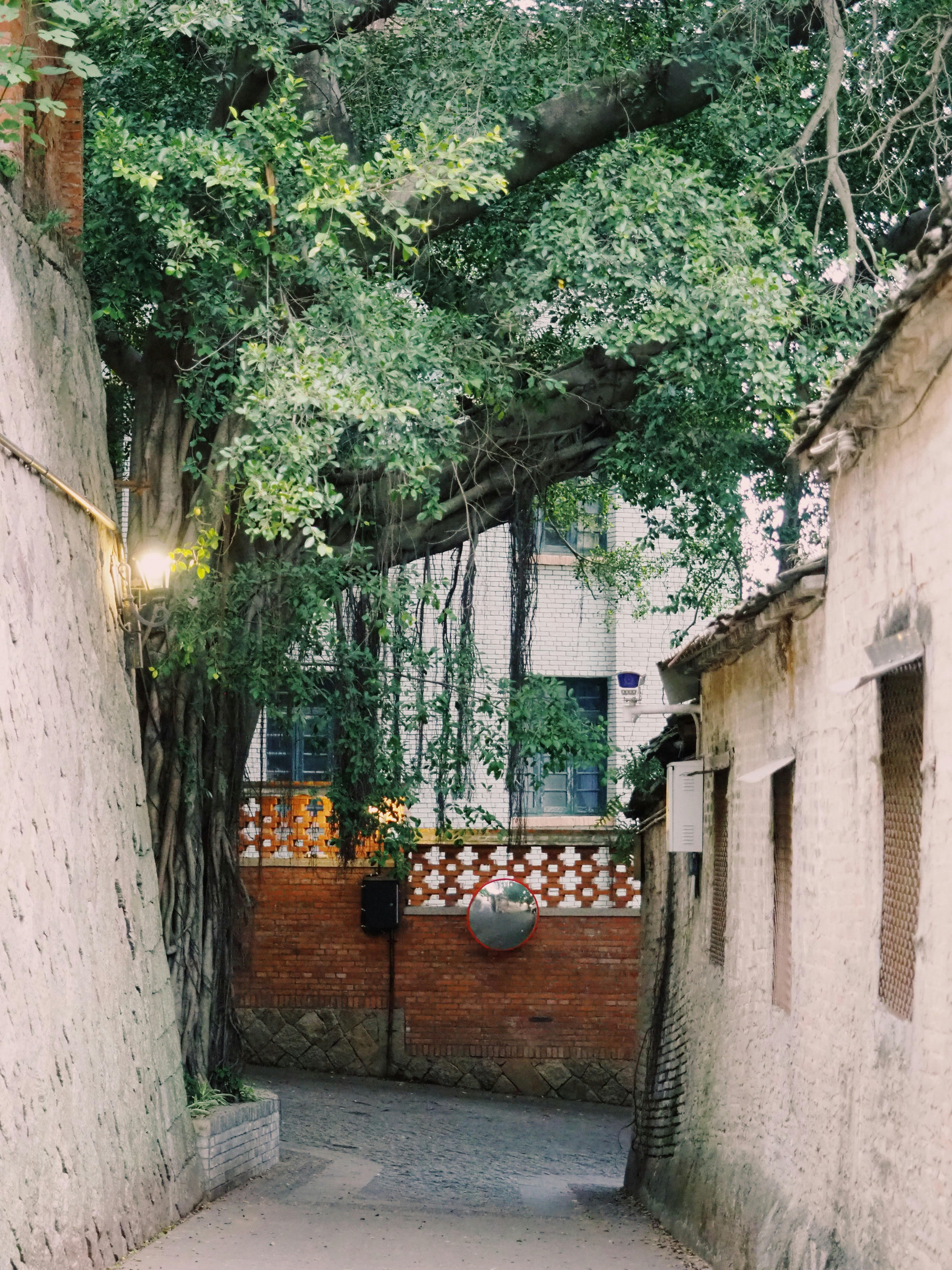 Photo by mianmian1997