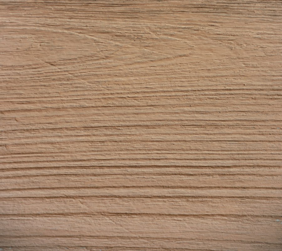 Nahaufnahme heller Holzmaserung mit feinen Jahresringlinien