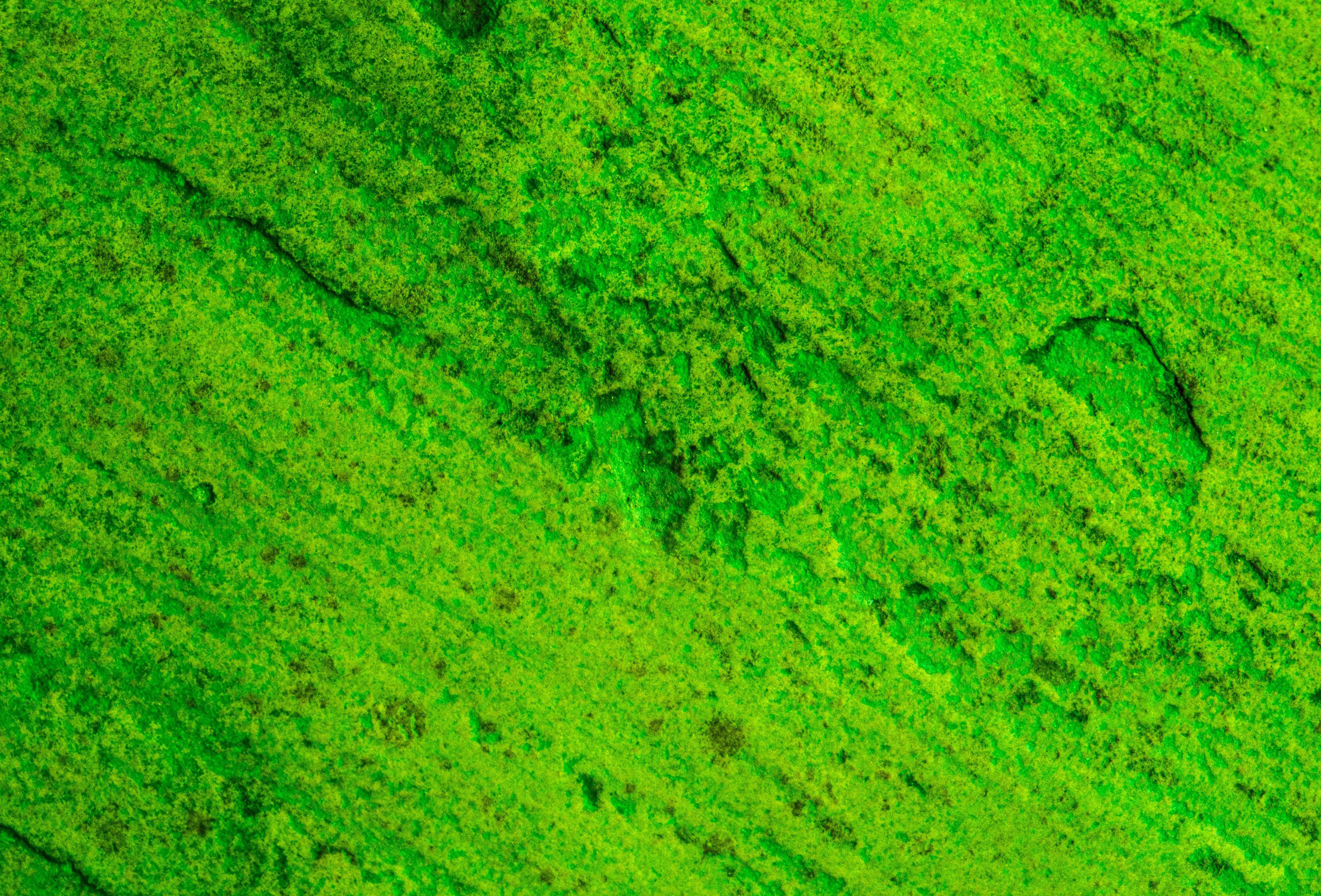 Photo by zoshuacolah