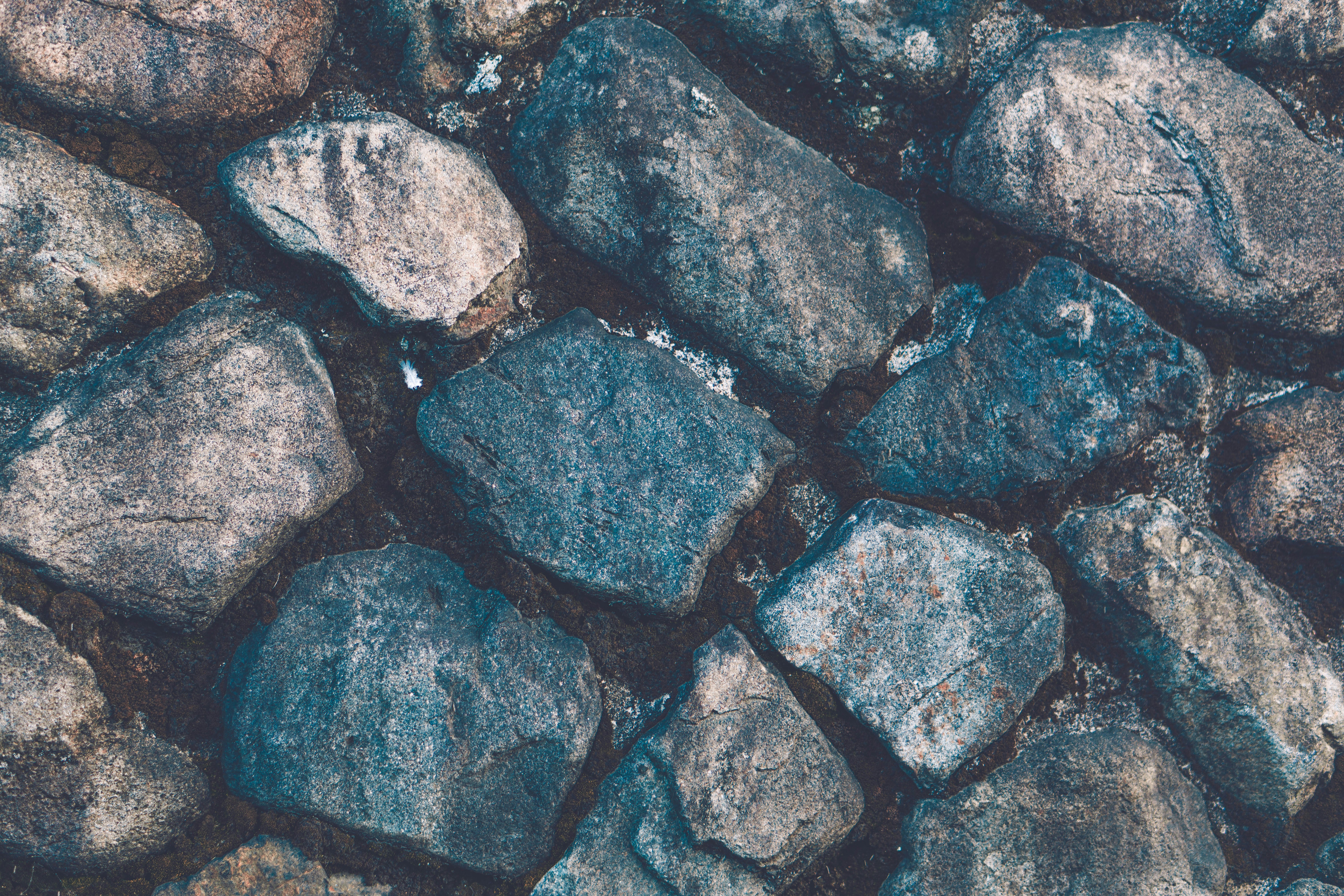 Photo by taiga_miyamoto