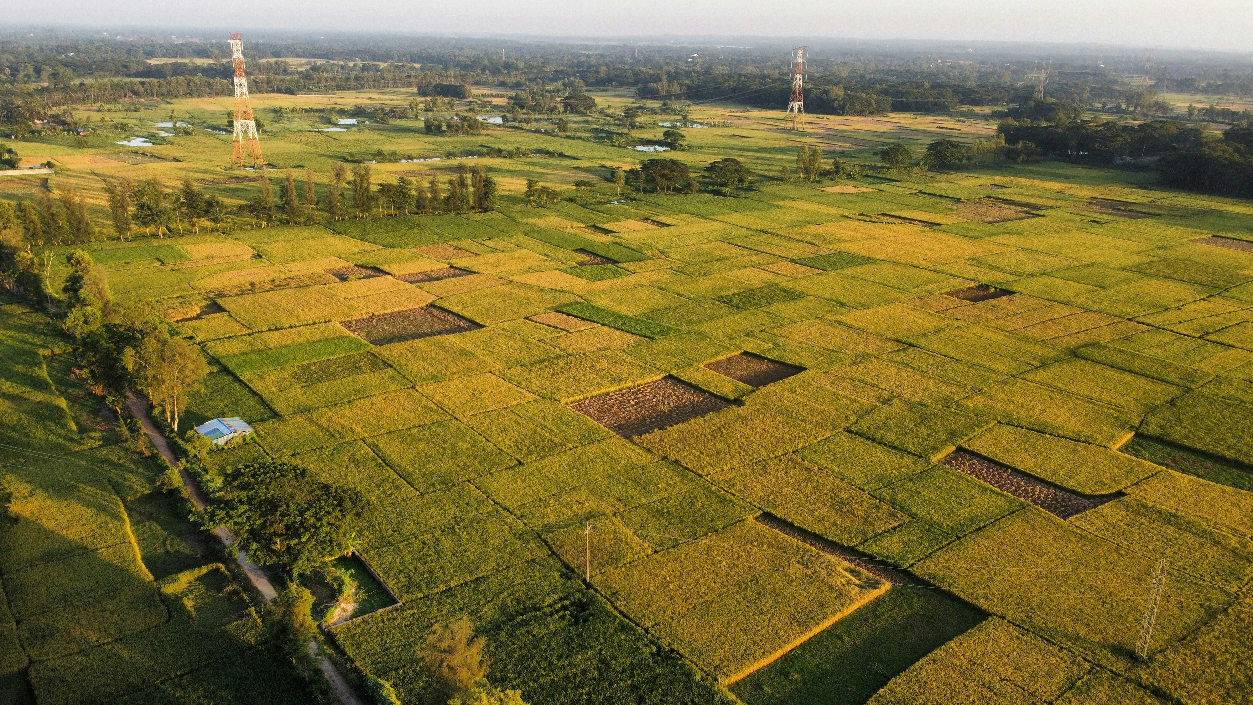 Photo by rahimsaikat