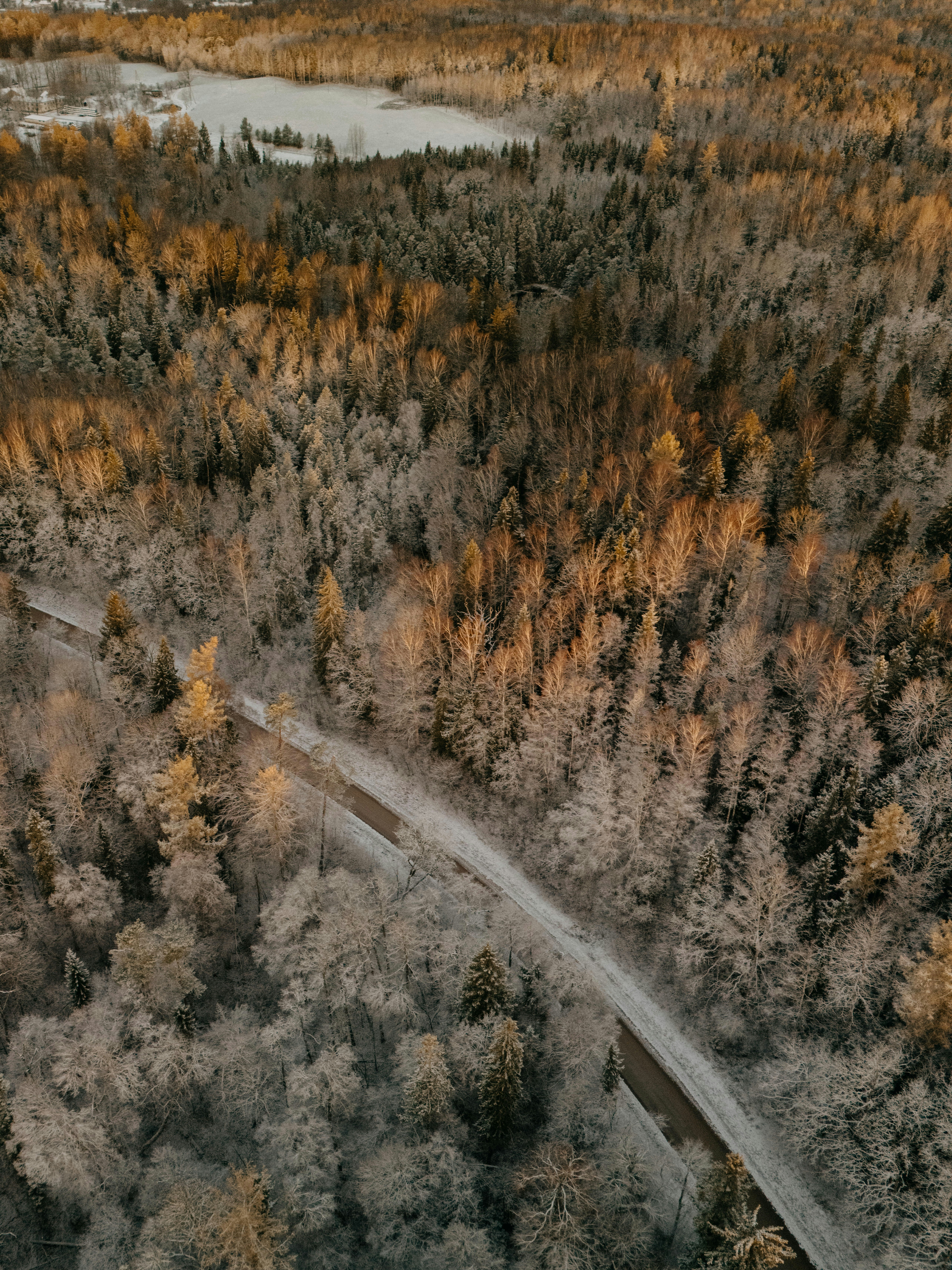 Photo by vilkuaivars