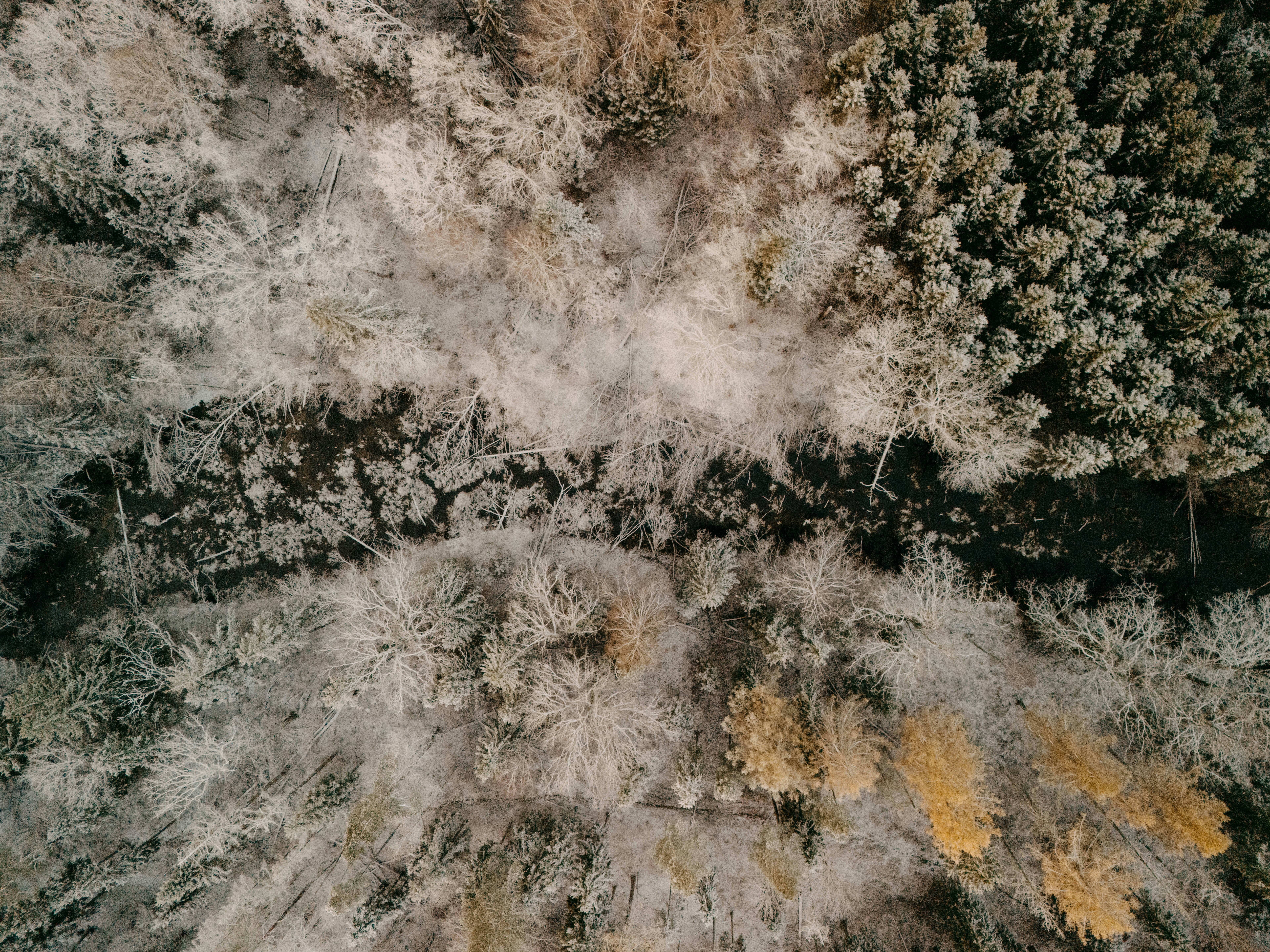 Photo by vilkuaivars