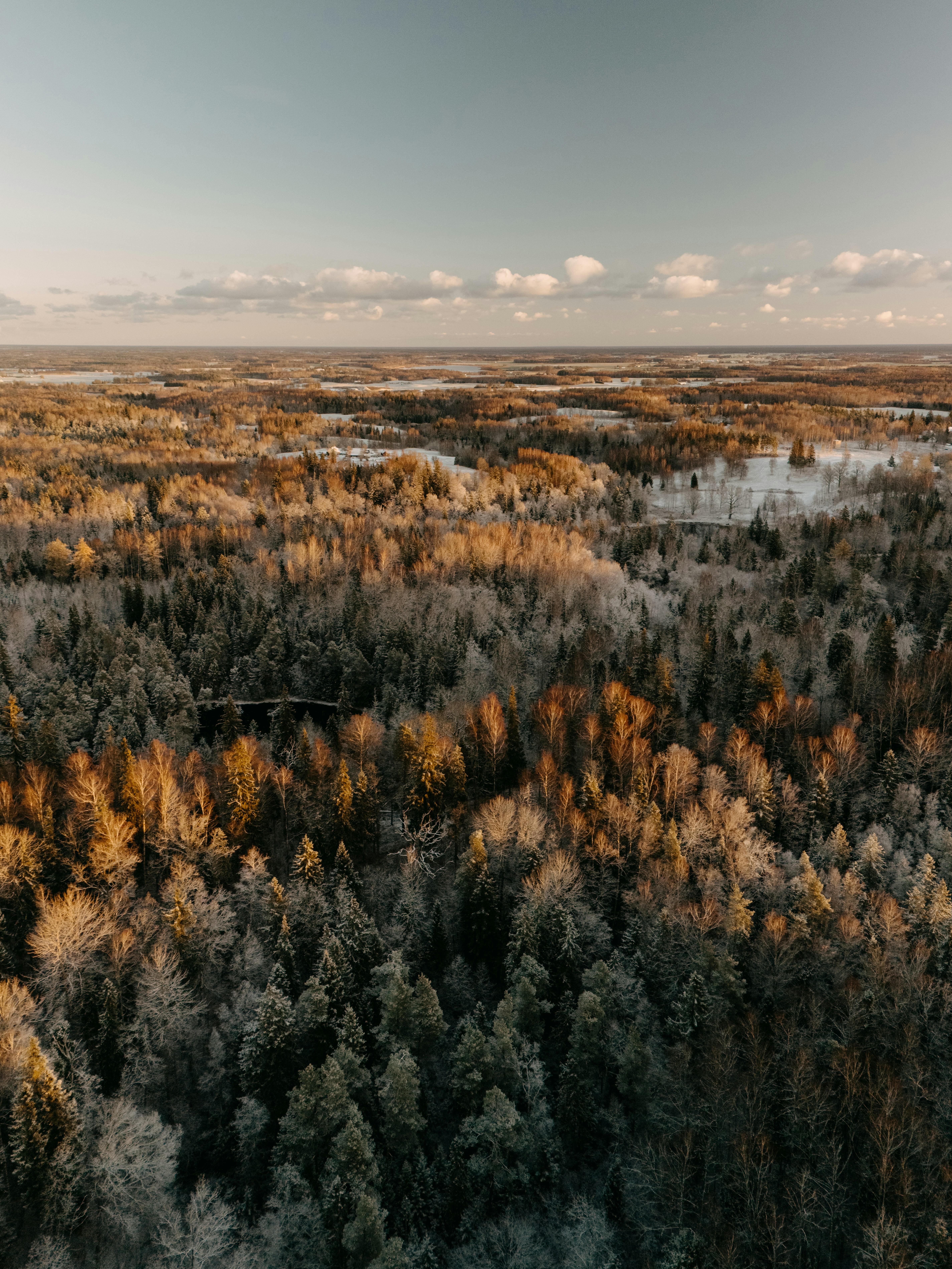 Photo by vilkuaivars