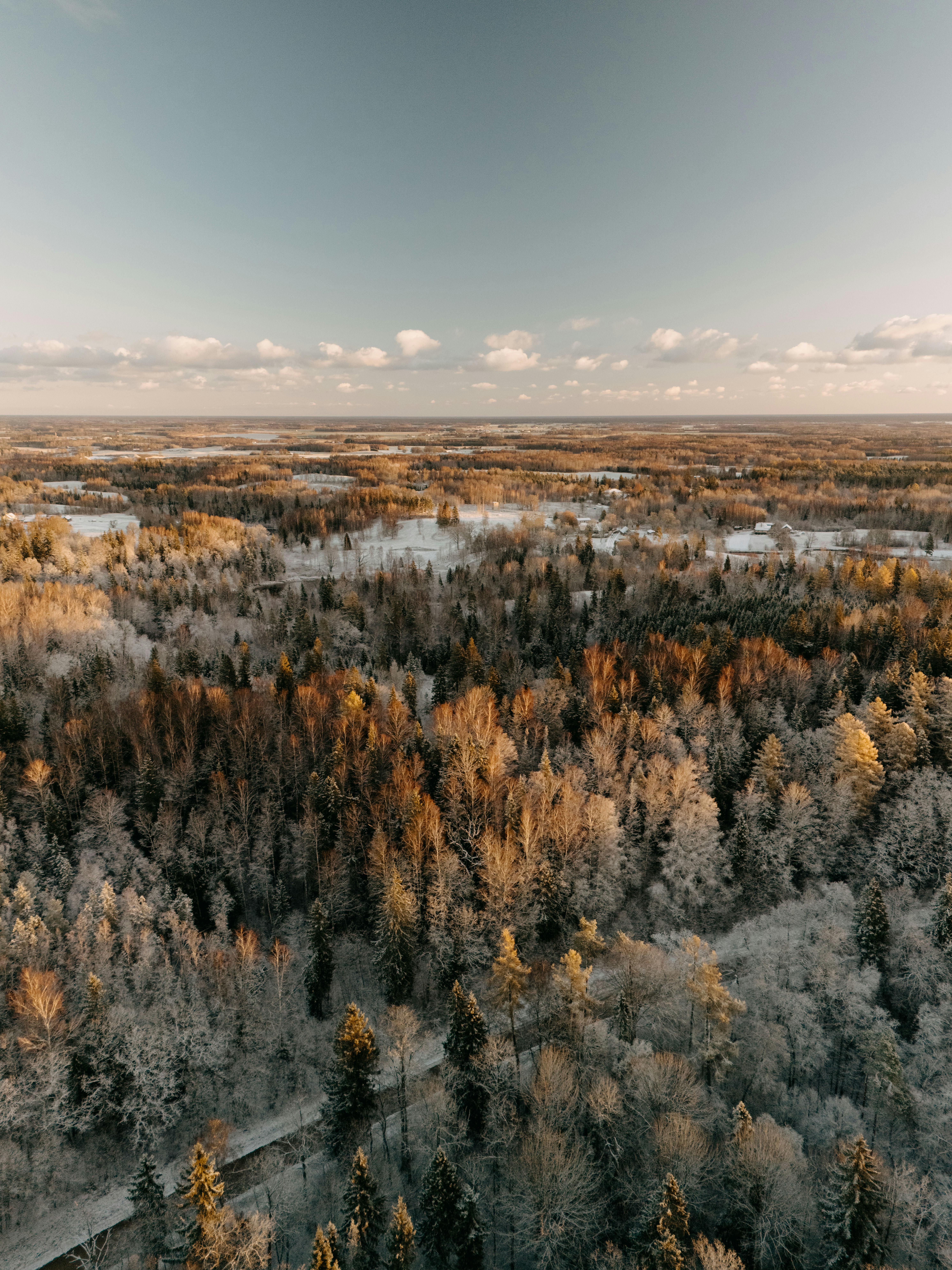 Photo by vilkuaivars