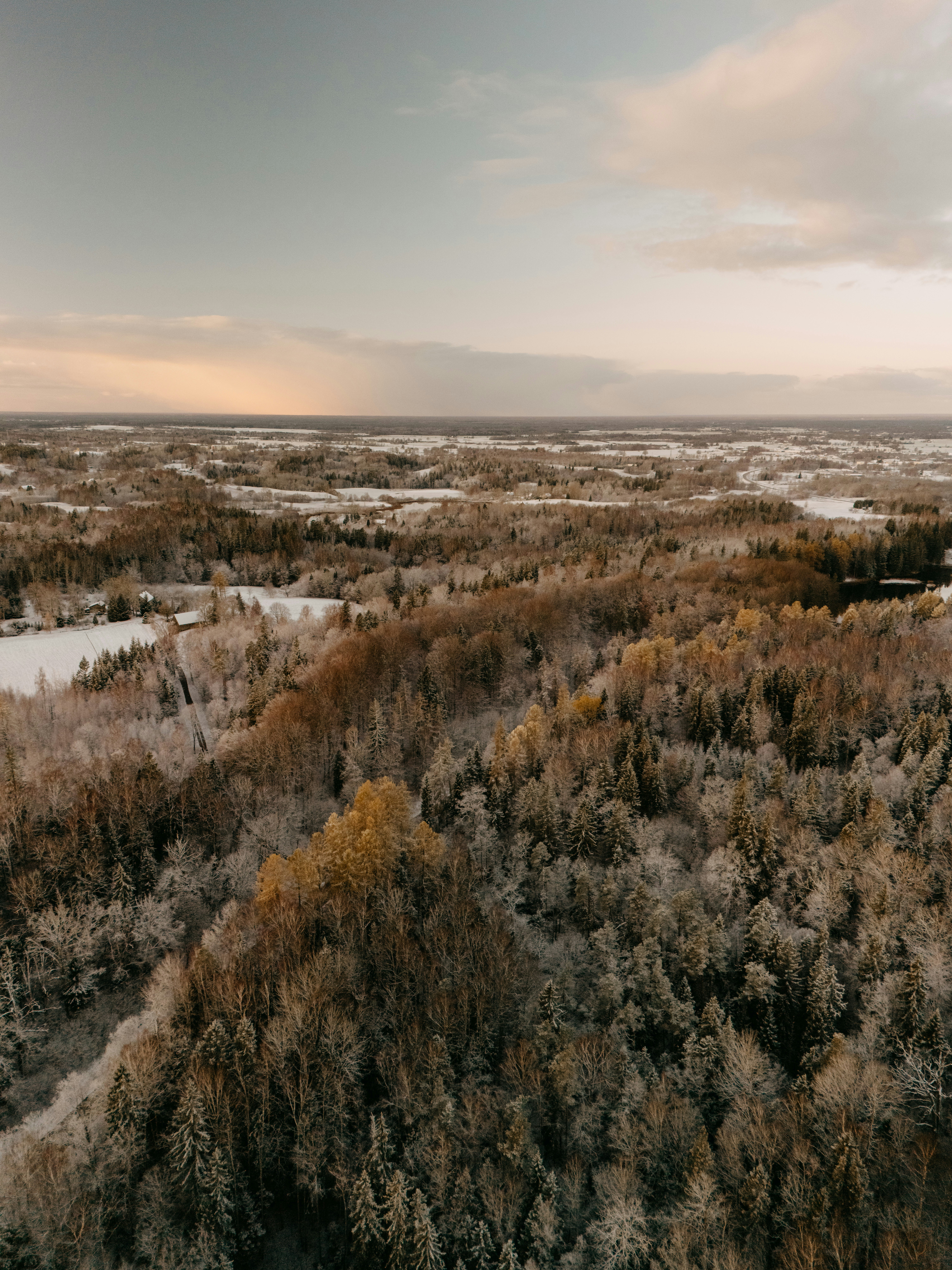 Photo by vilkuaivars