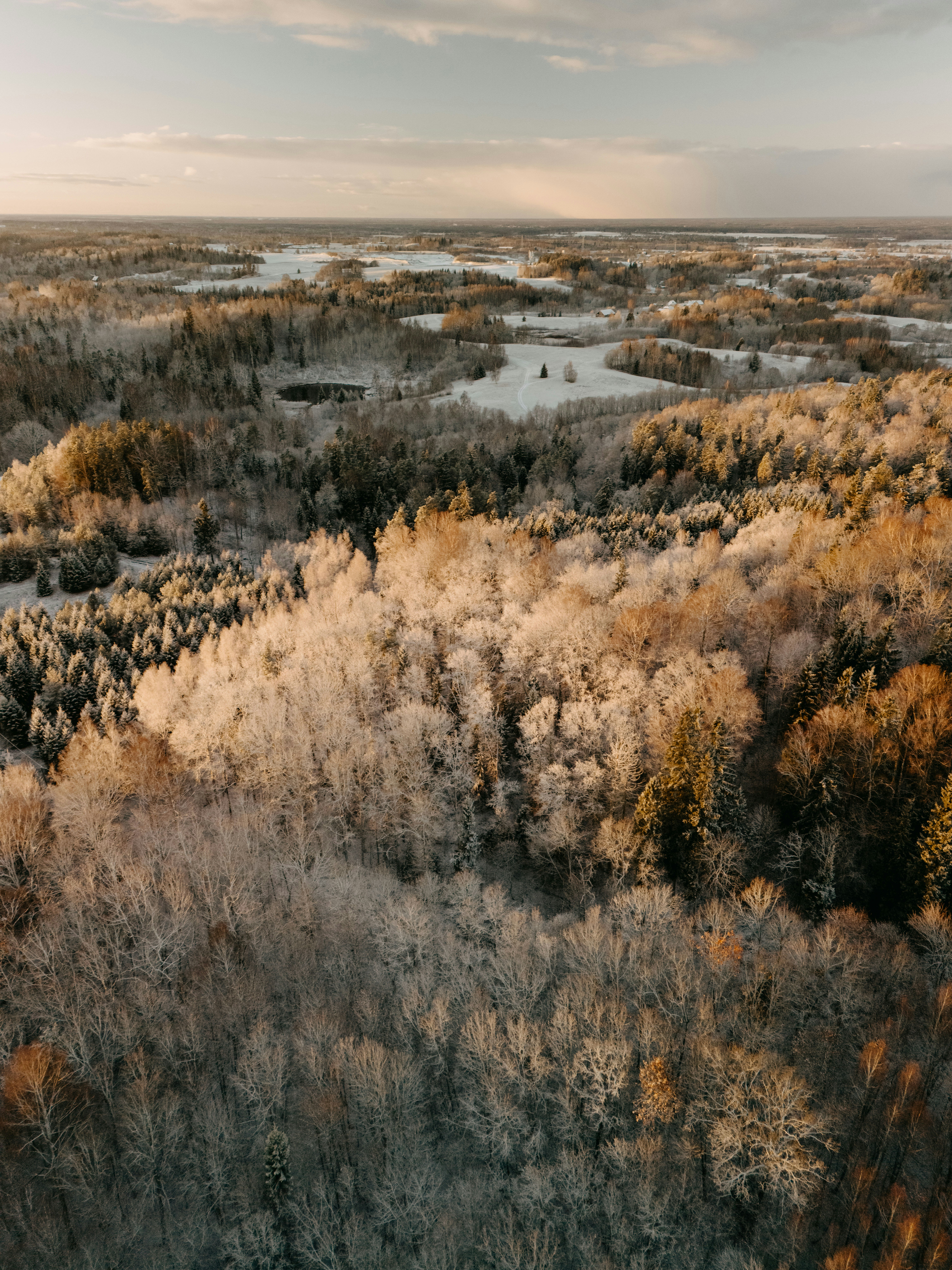 Photo by vilkuaivars