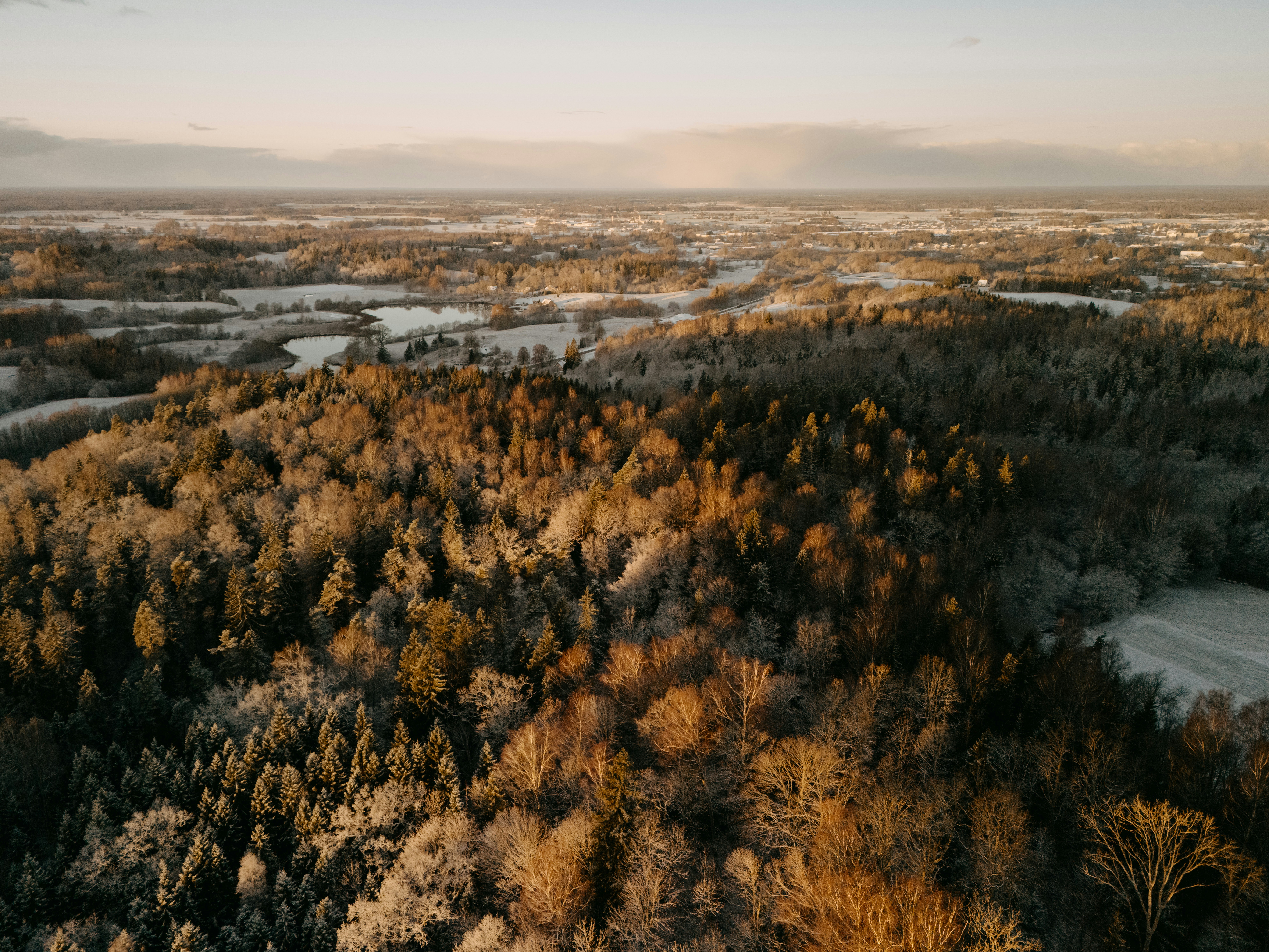 Photo by vilkuaivars