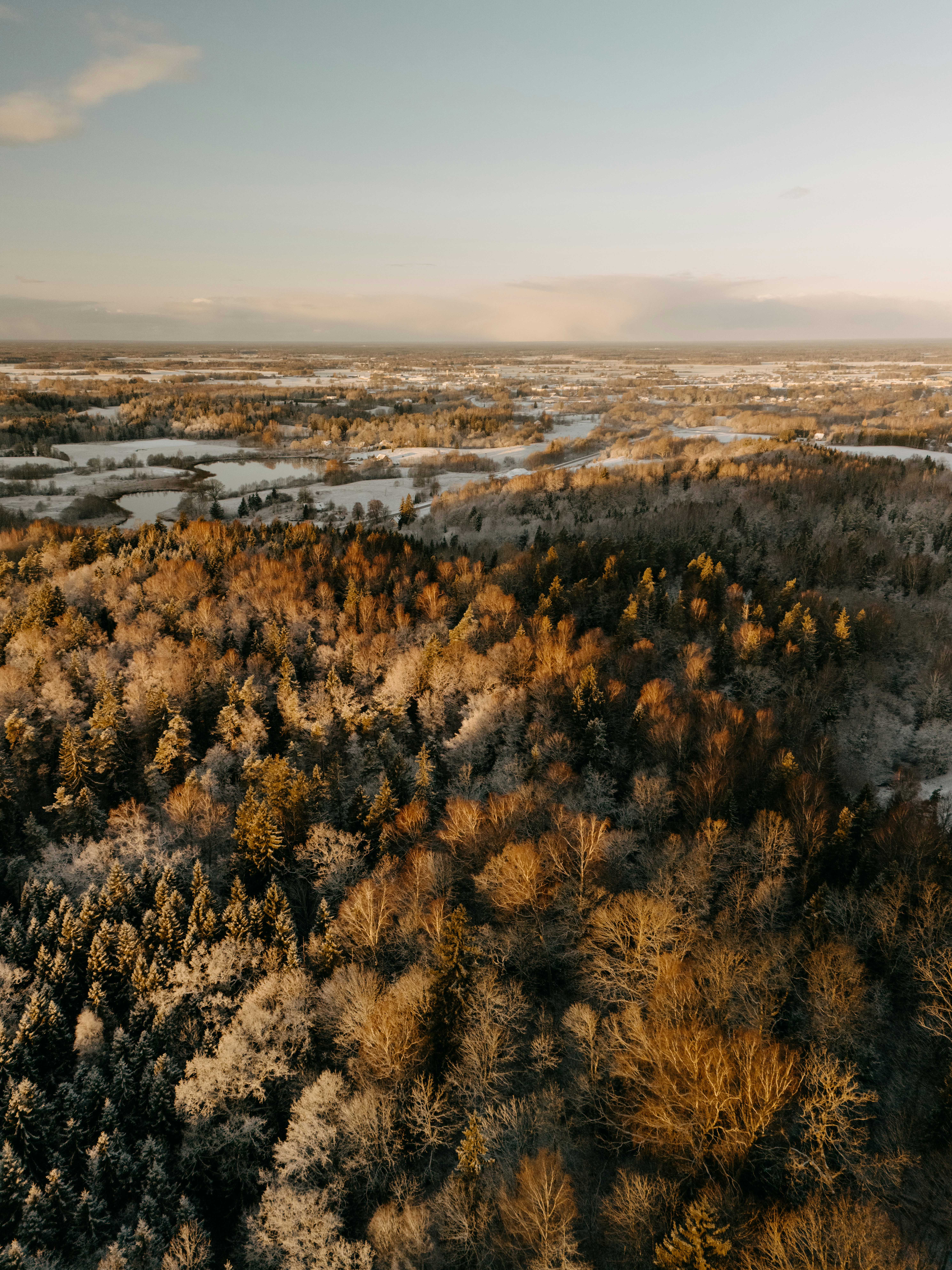 Photo by vilkuaivars