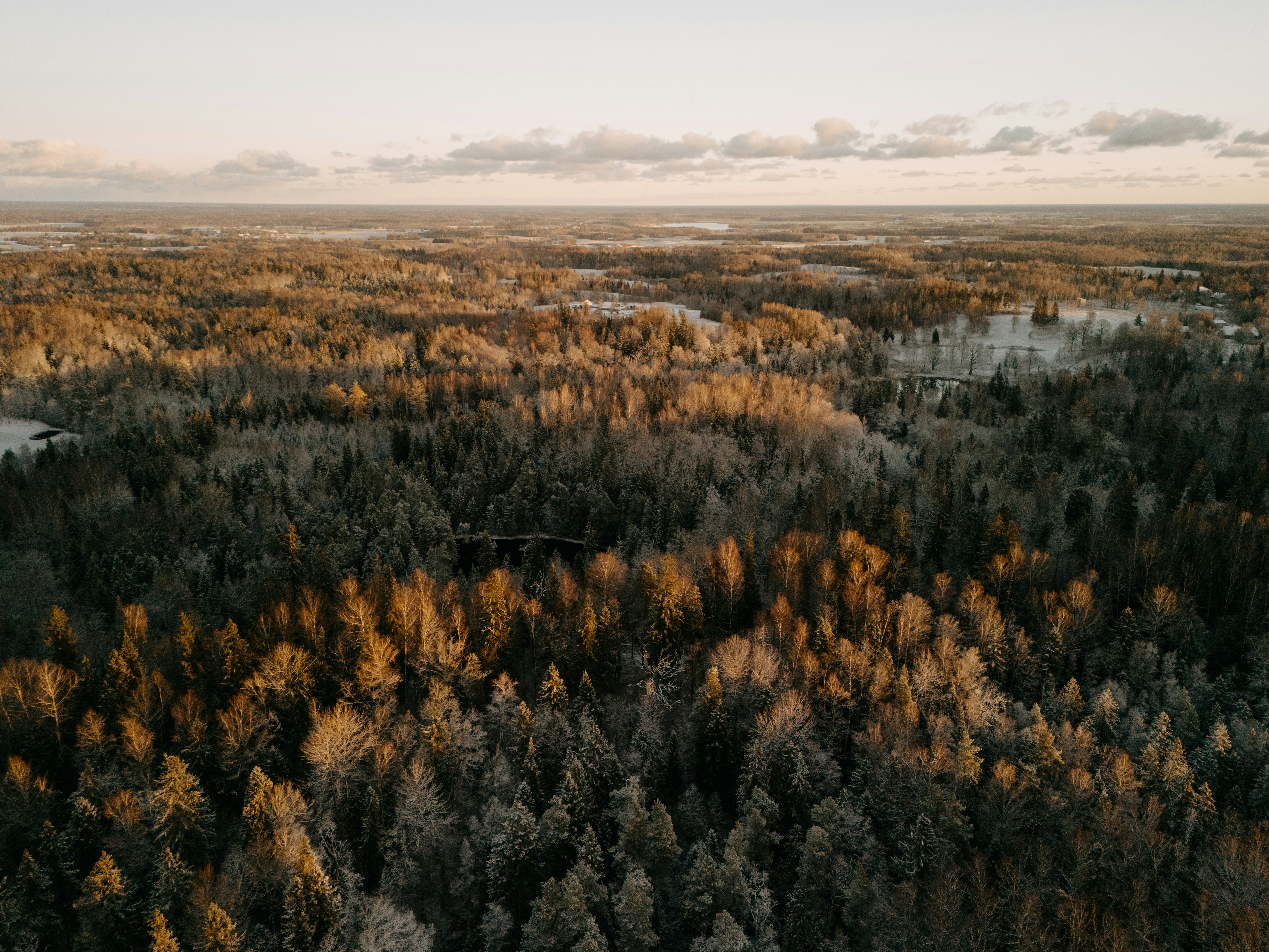 Photo by vilkuaivars