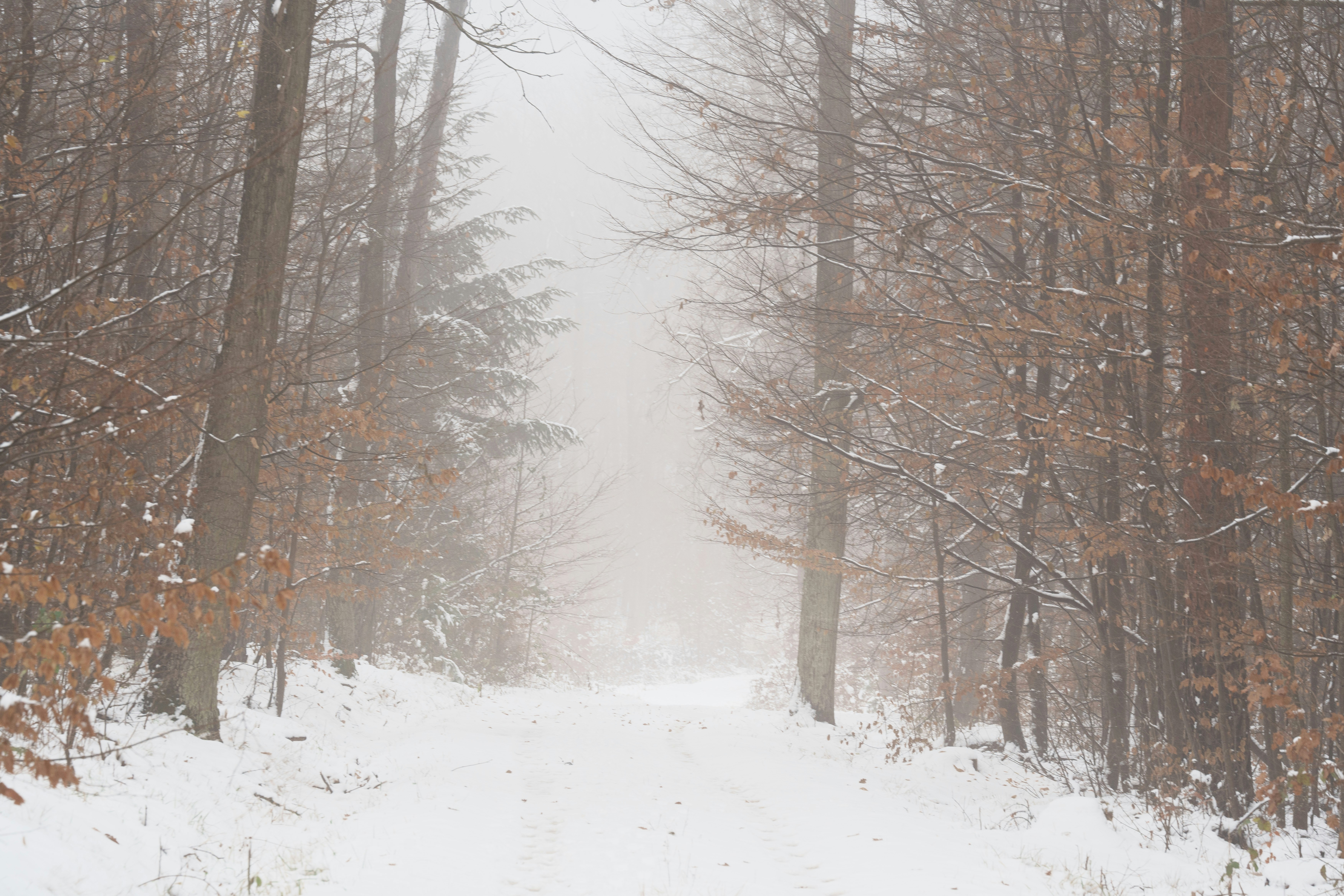 Photo by johnny_slav