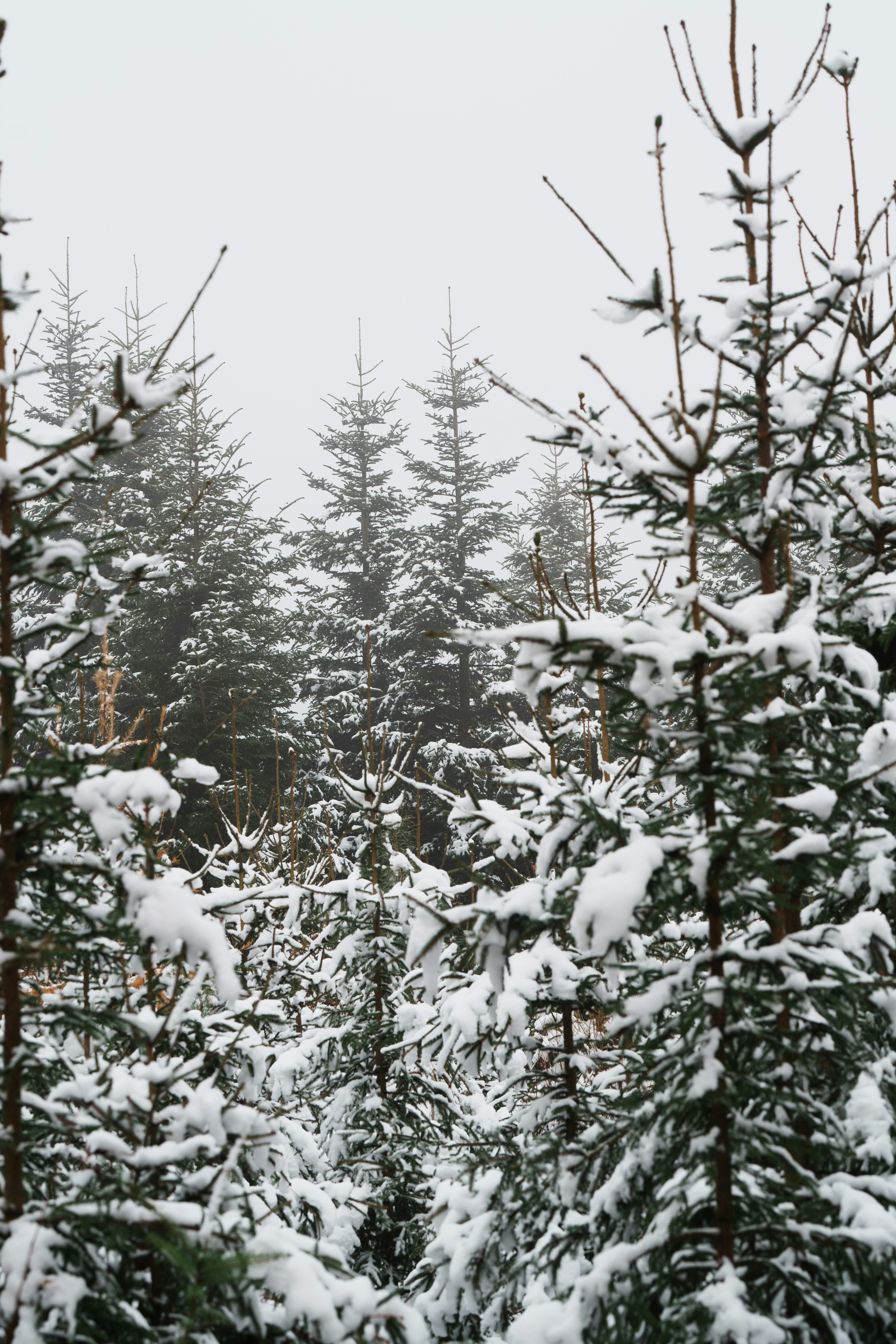 Photo by johnny_slav