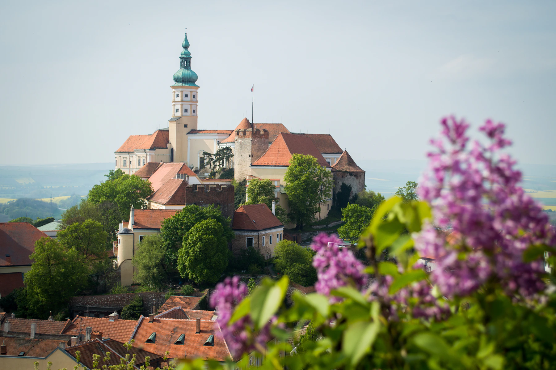 Mikulov: víno, historie a výhledy v jednom dni