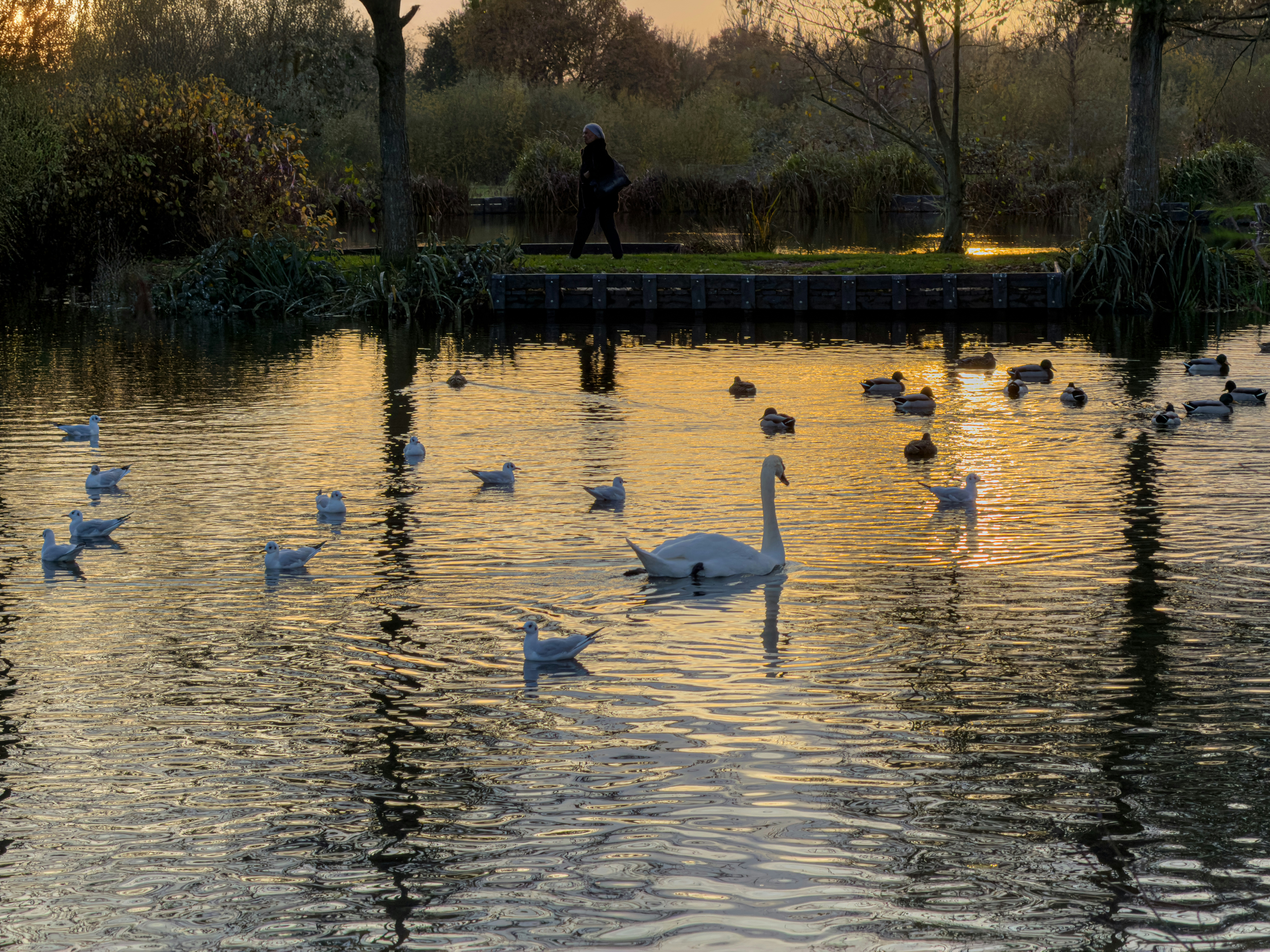 Photo by brett_jordan