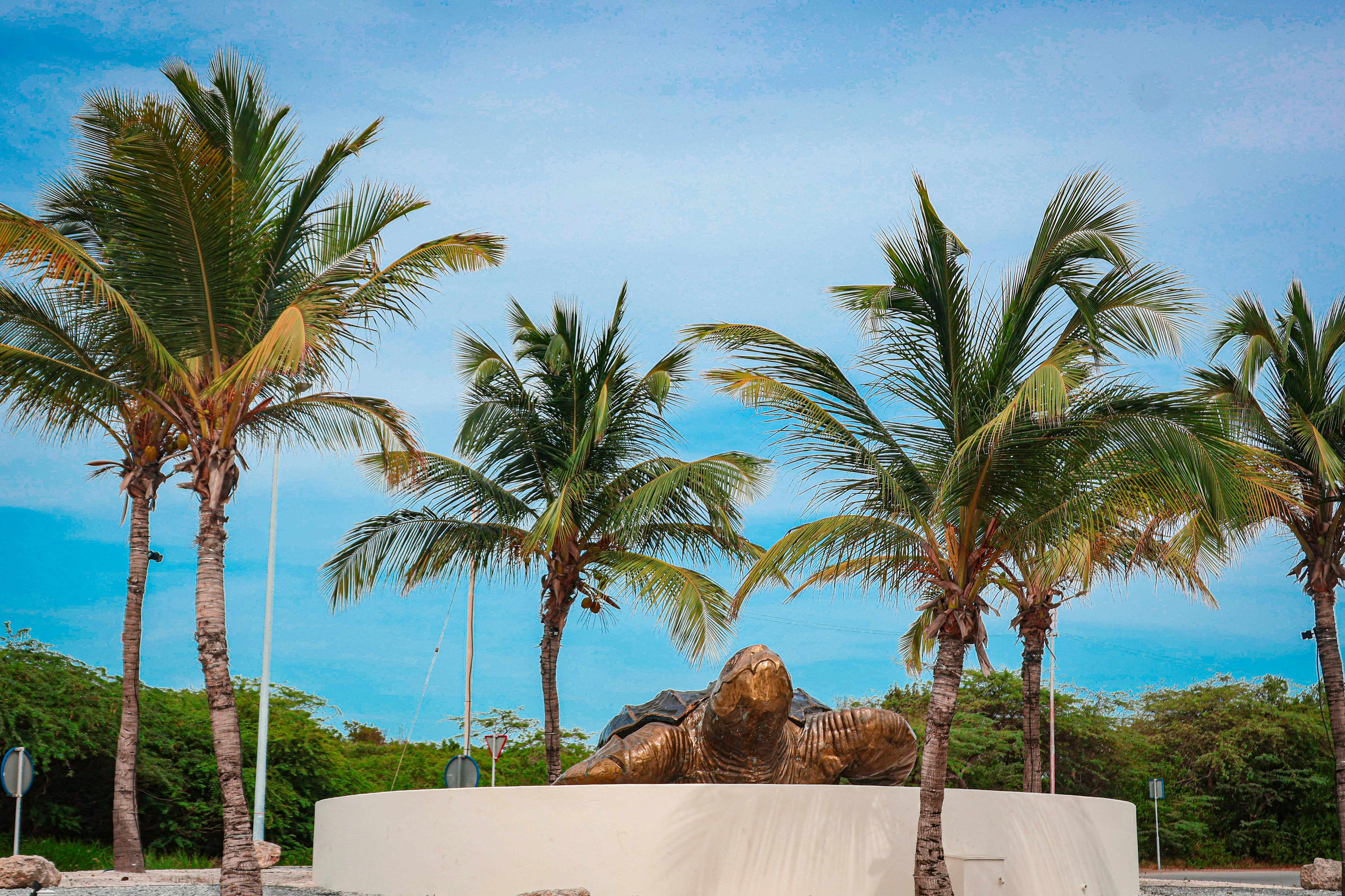 Photo by traveleroohlala