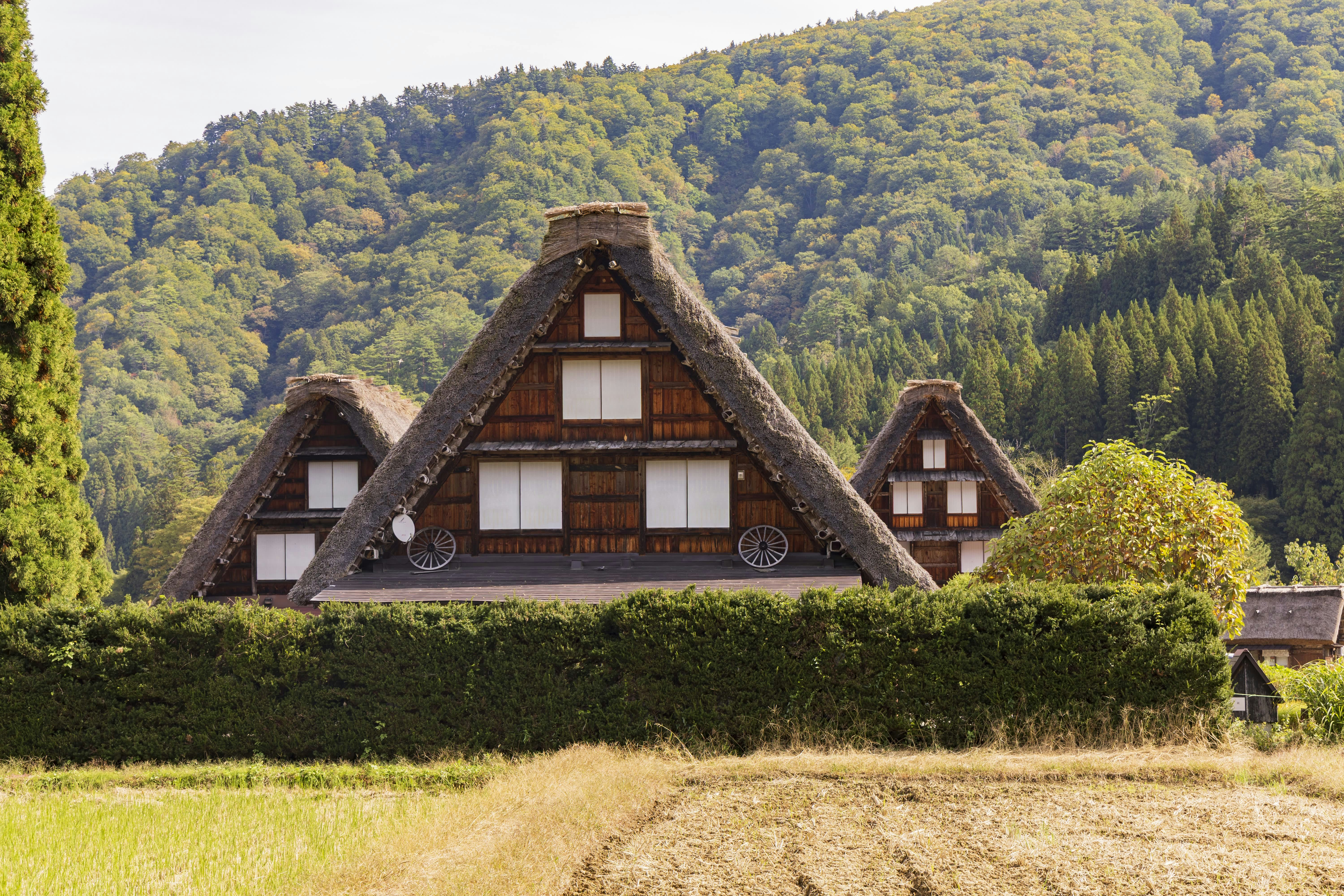 Traditional thatched-roof houses in a rural village setting.