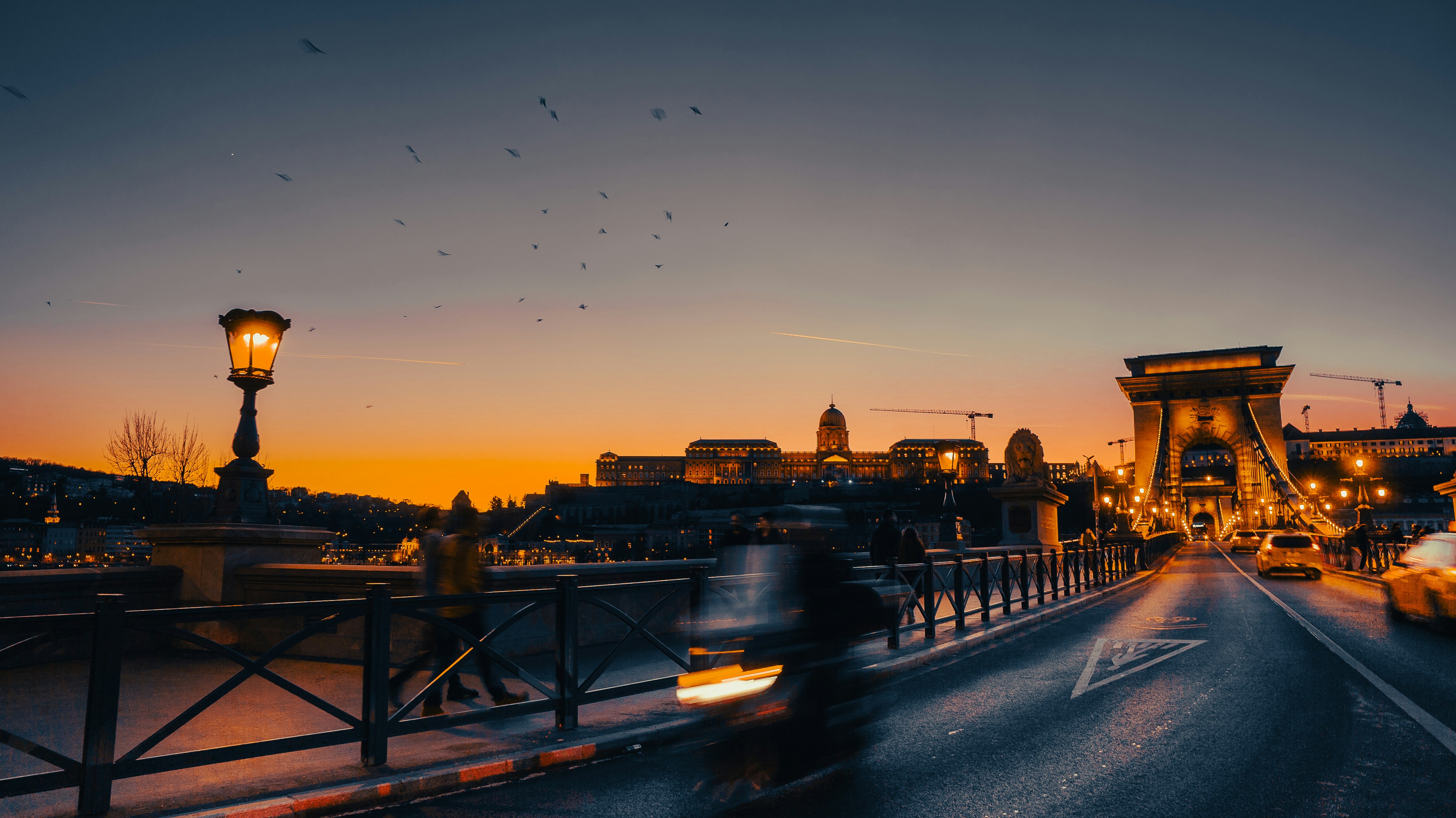 Photo by heronrossato