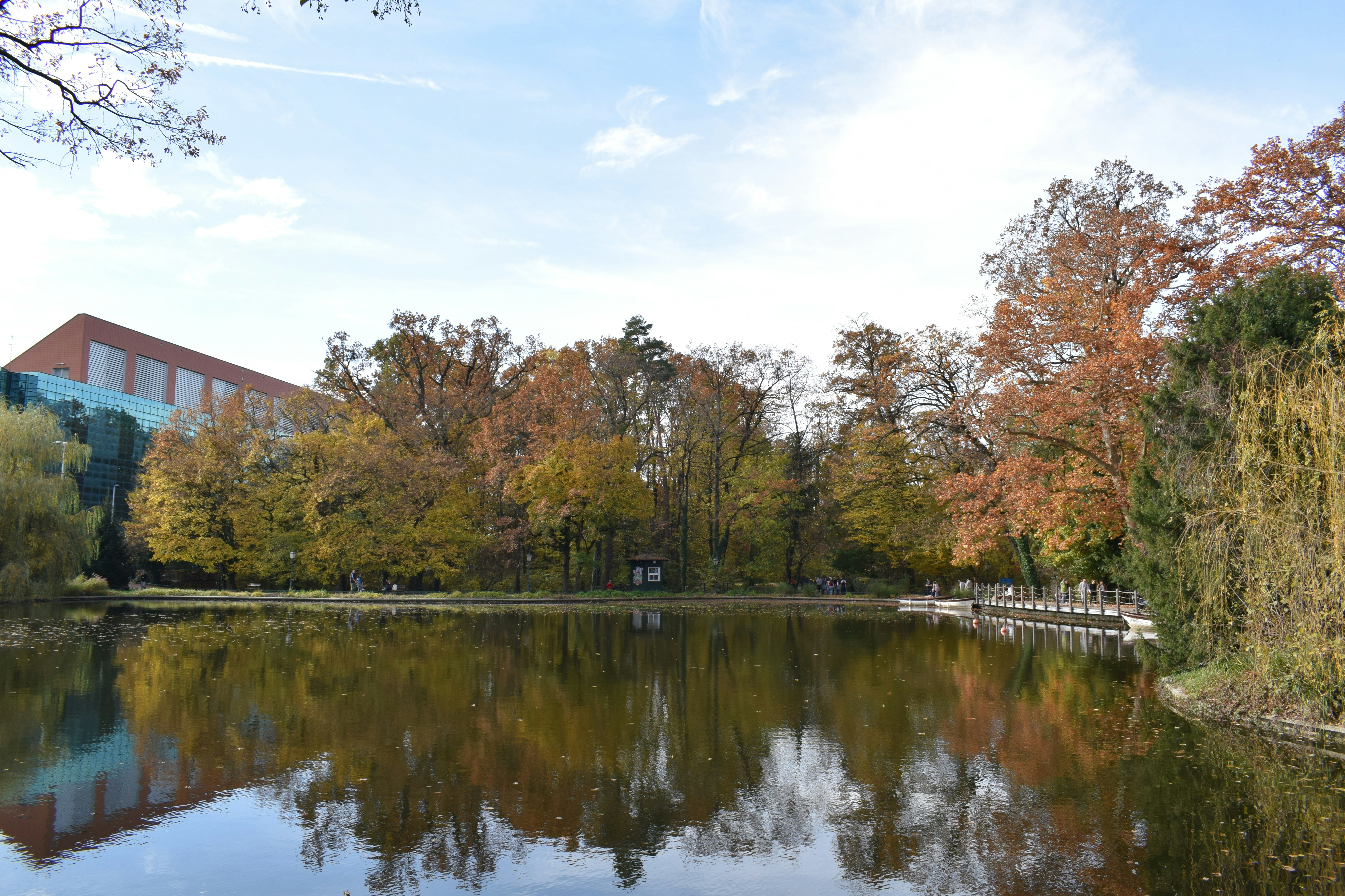 Photo by kristina001