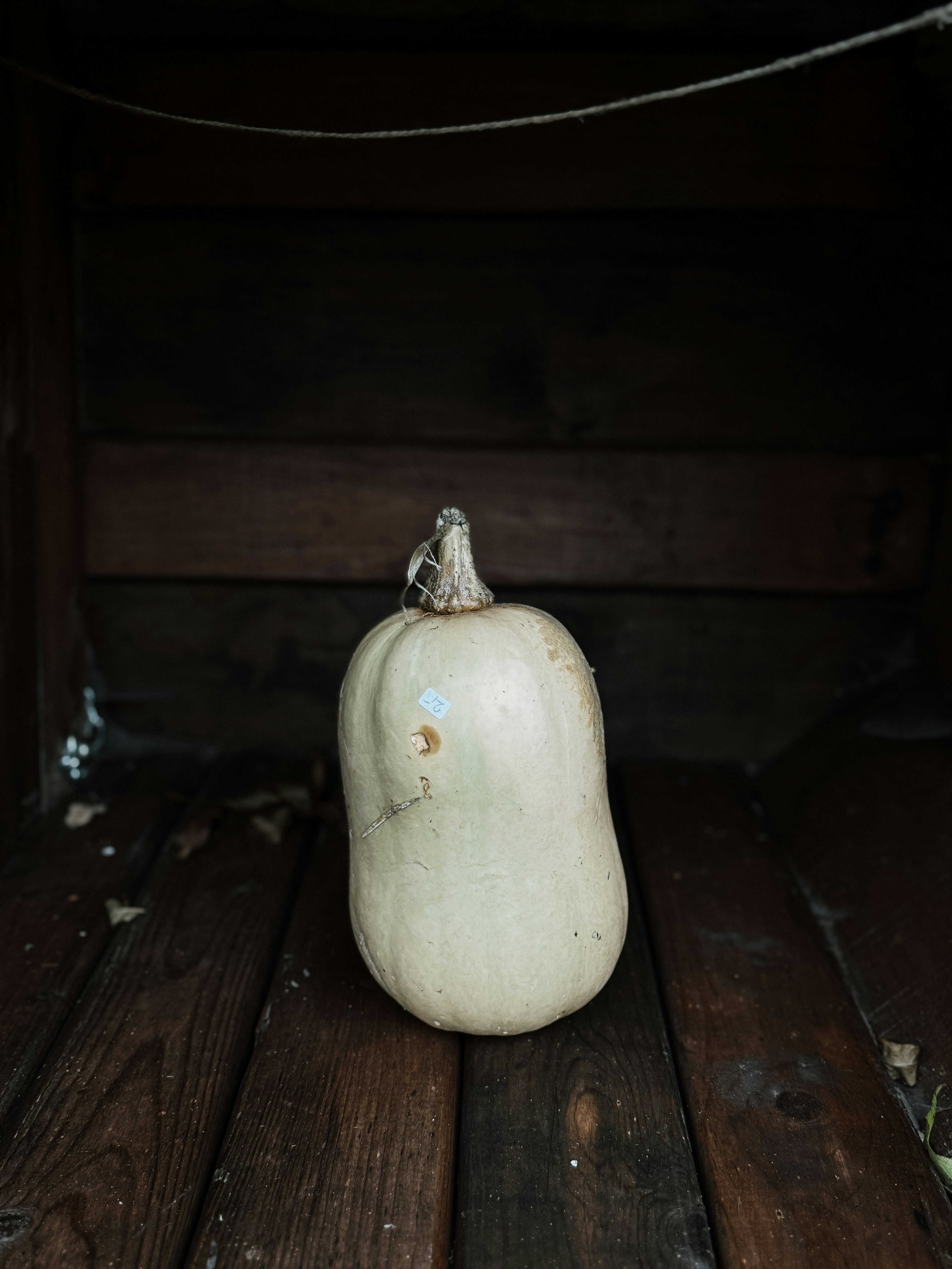 Una sola calabaza muscada sobre una superficie de madera.