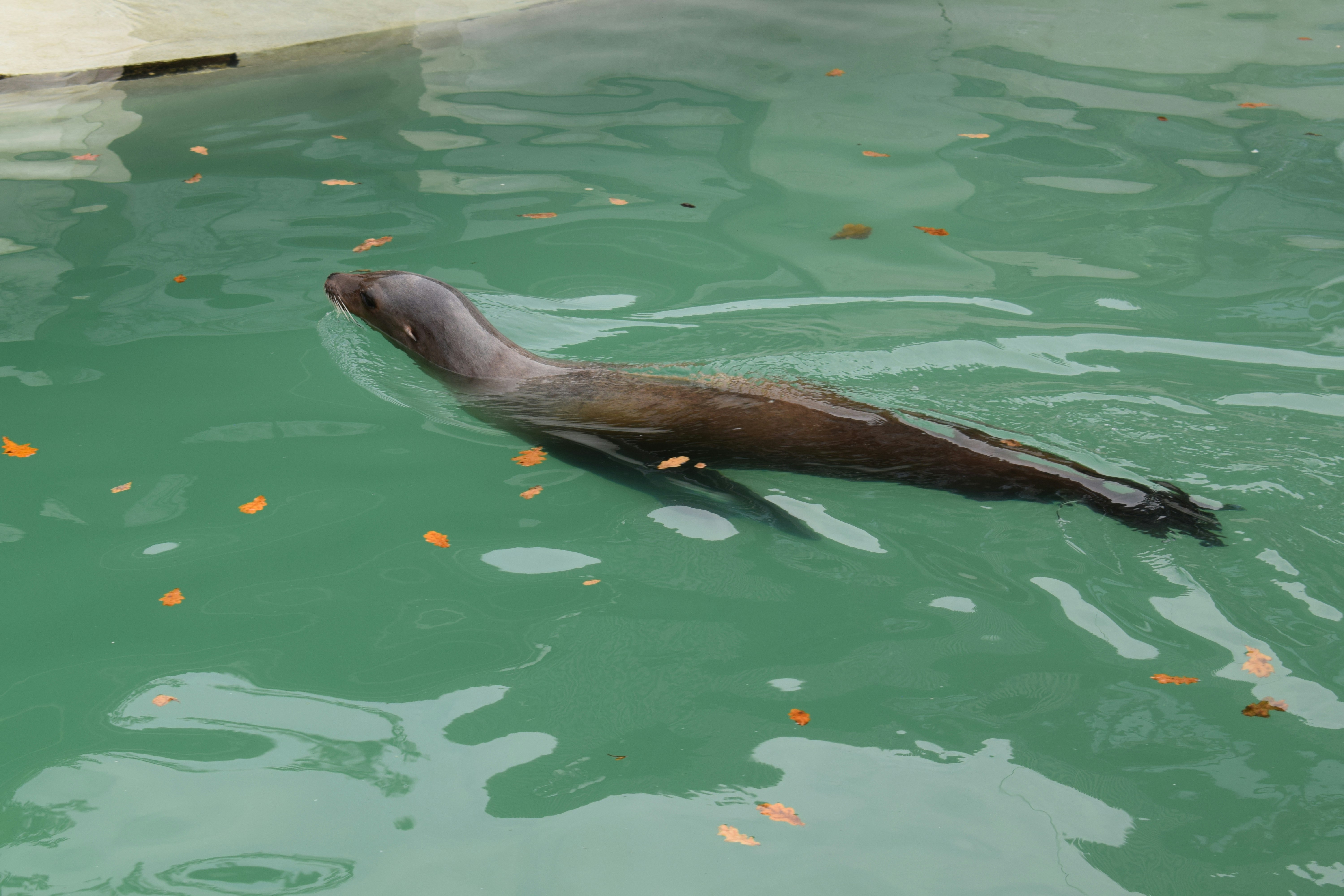 Photo by kristina001