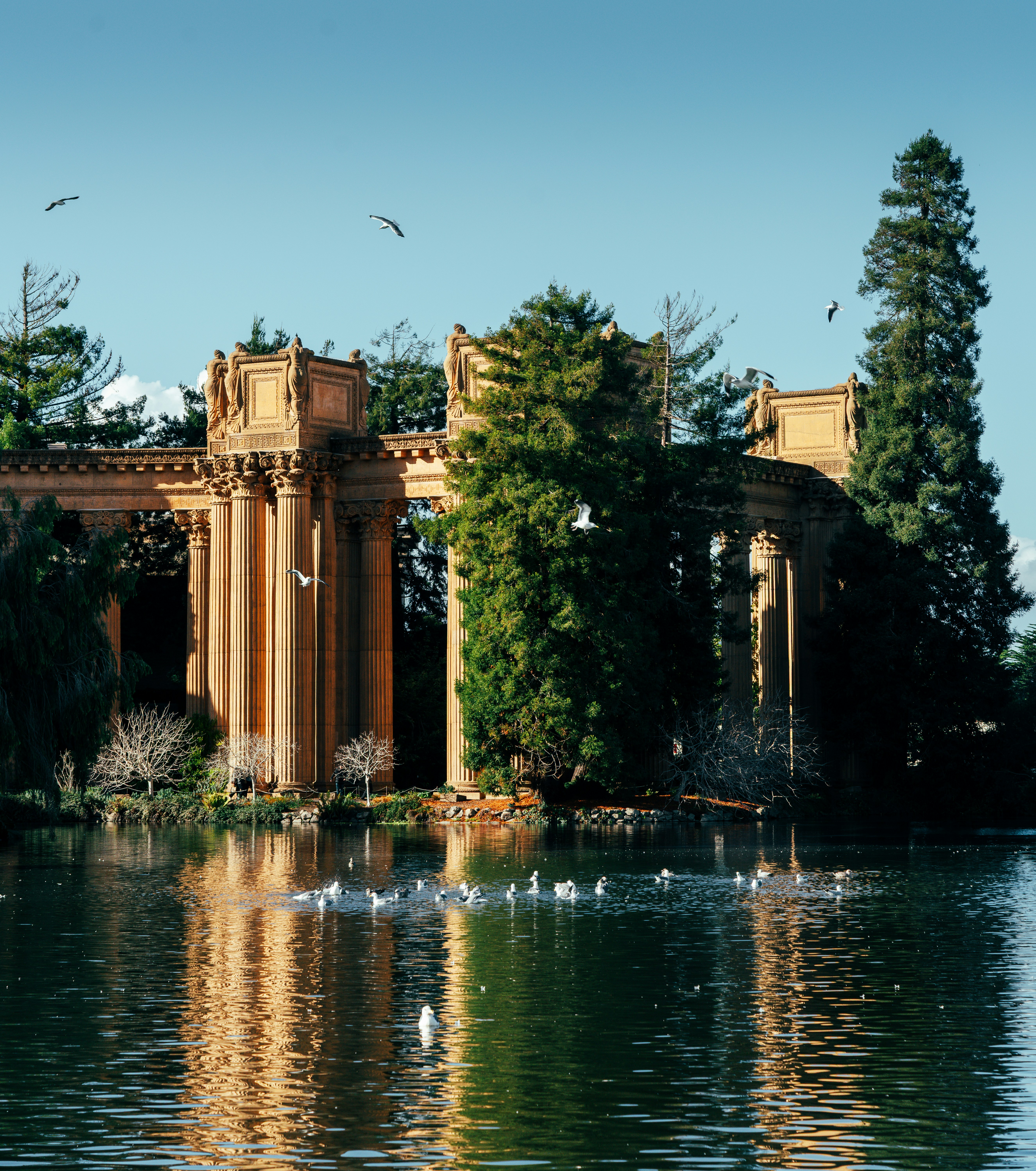Ornate building with columns reflected in water