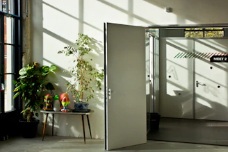 Open door in a bright room with plants