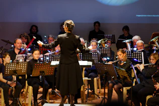 Conductor leads orchestra during a performance