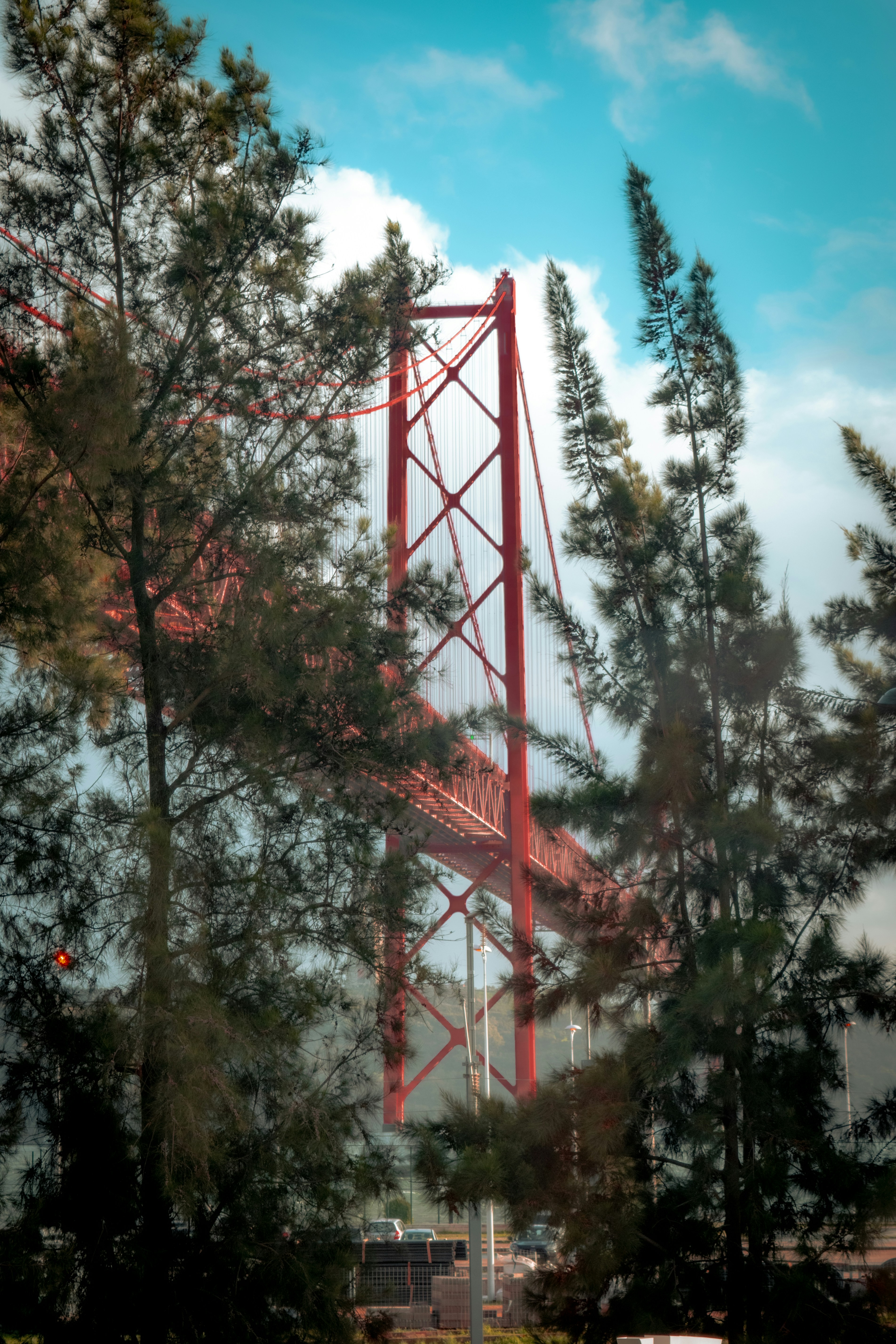 Photo by chebbimedayoub