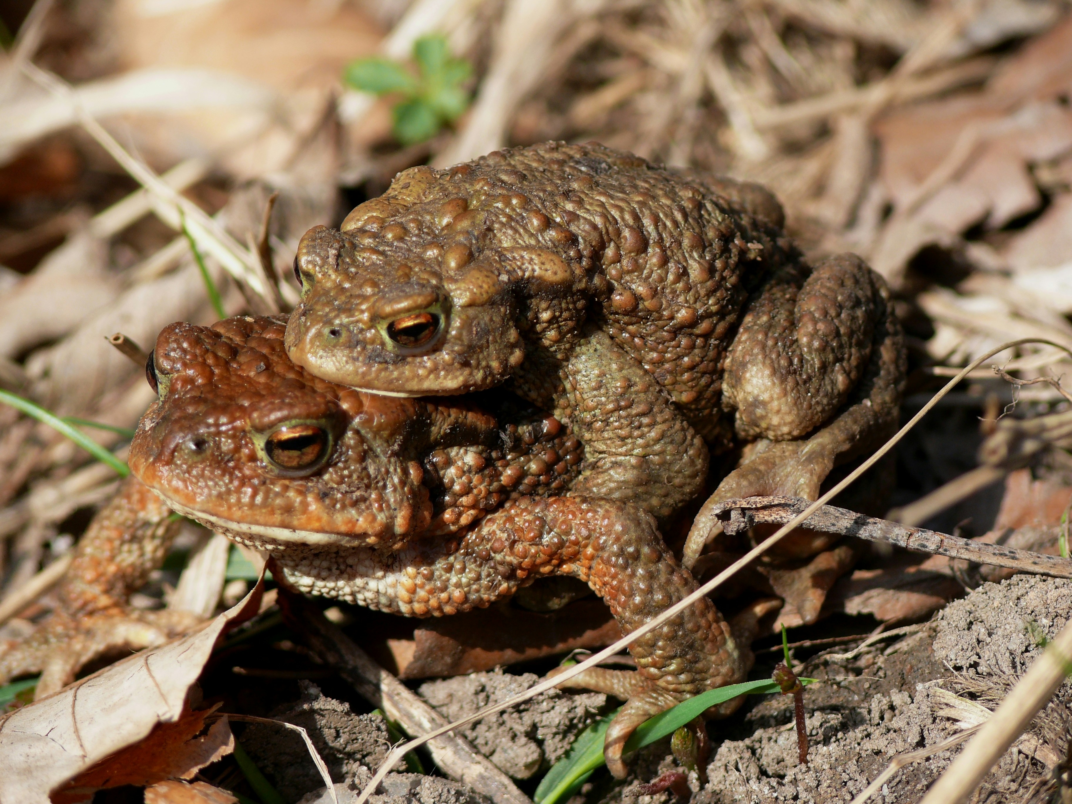 Photo by nikodemus777