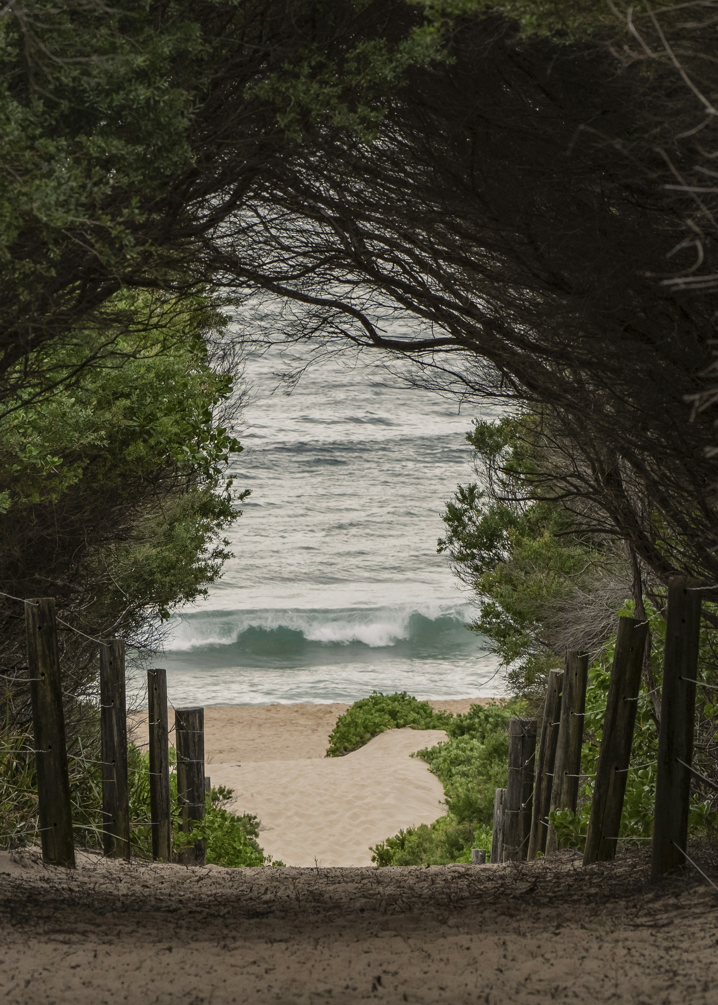 Path through trees to a sandy beach and ocean.