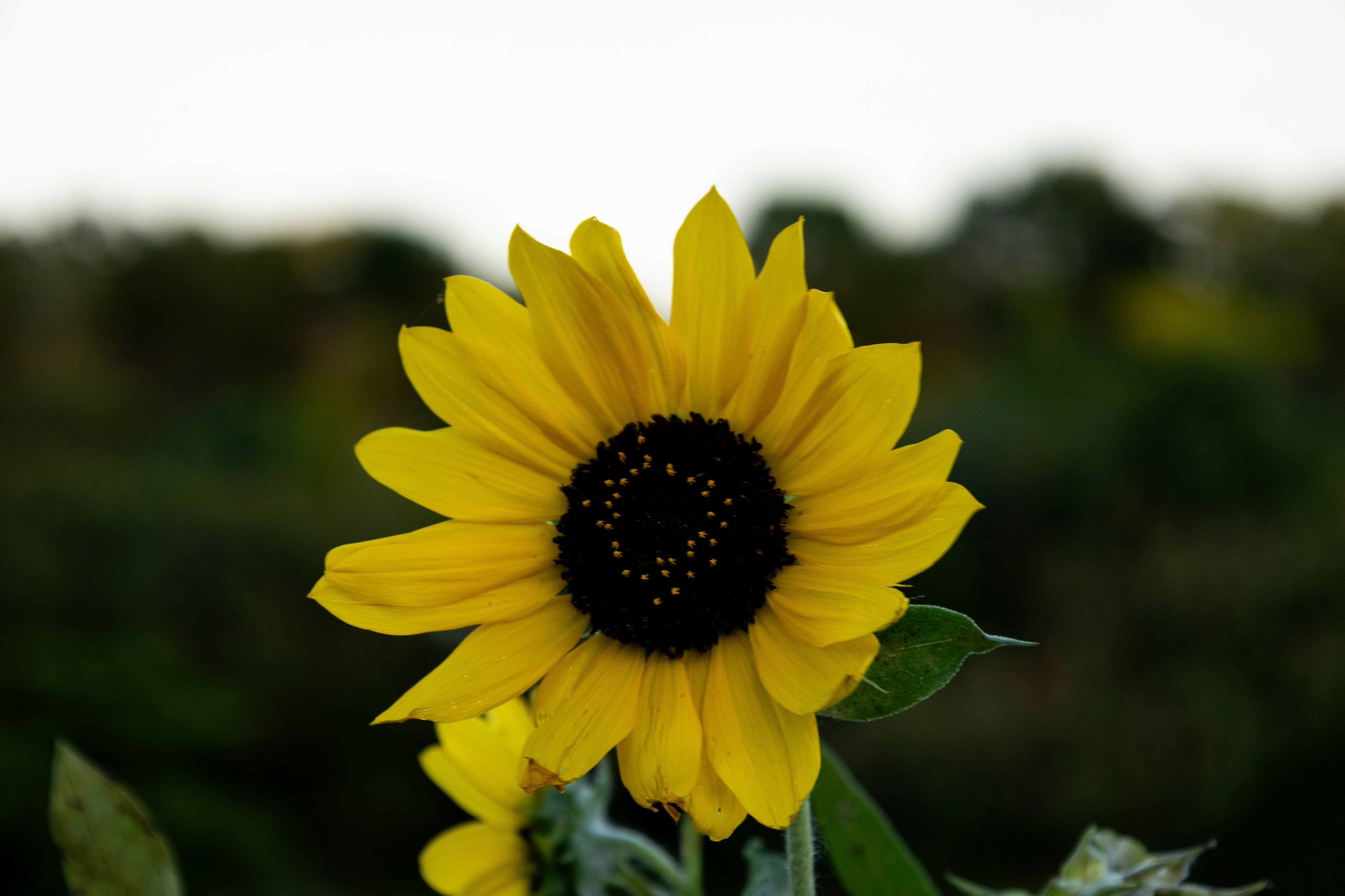 Photo by momentsbyprats