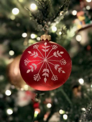 Red snowflake ornament on a christmas tree