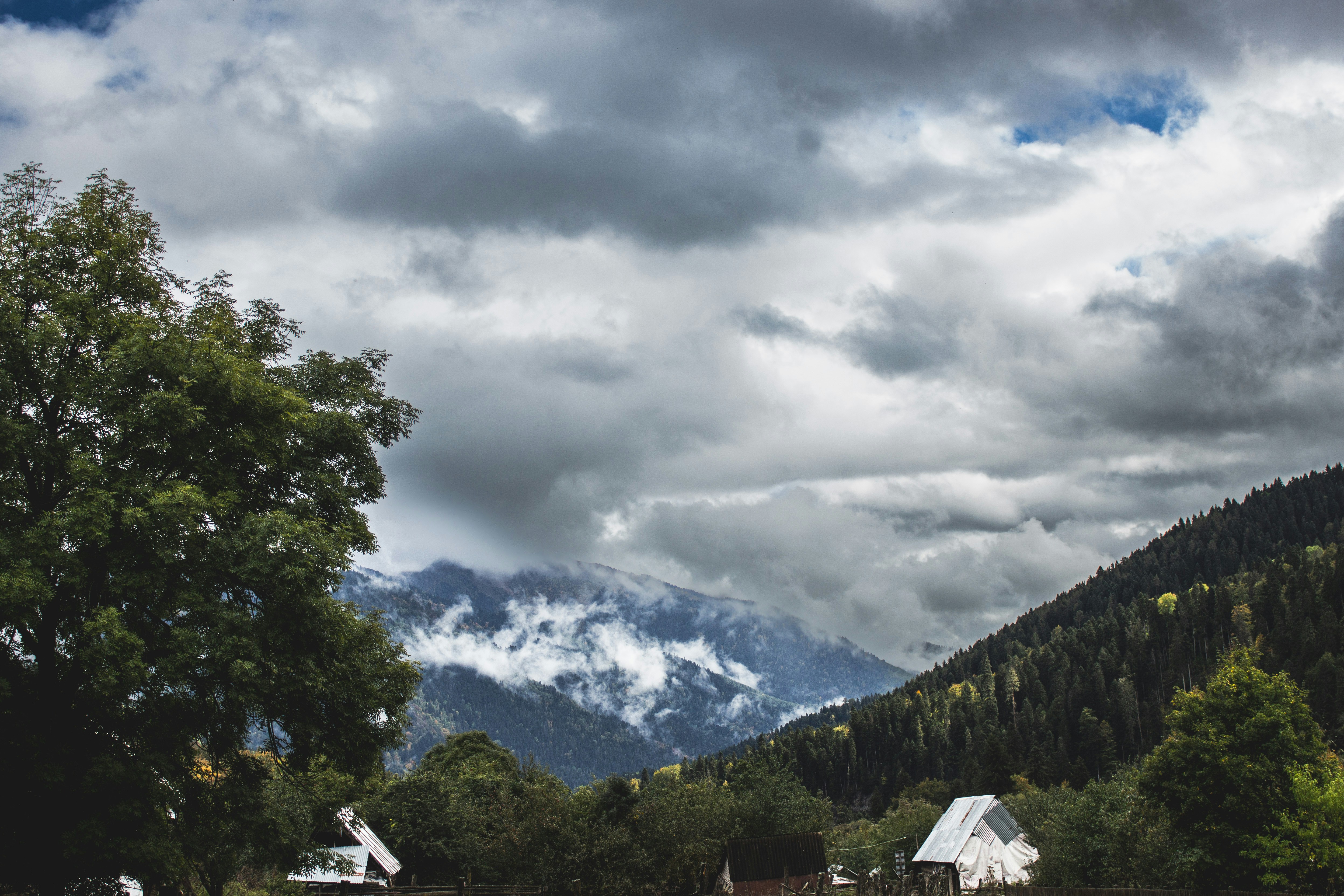 Photo by dzhioshvili