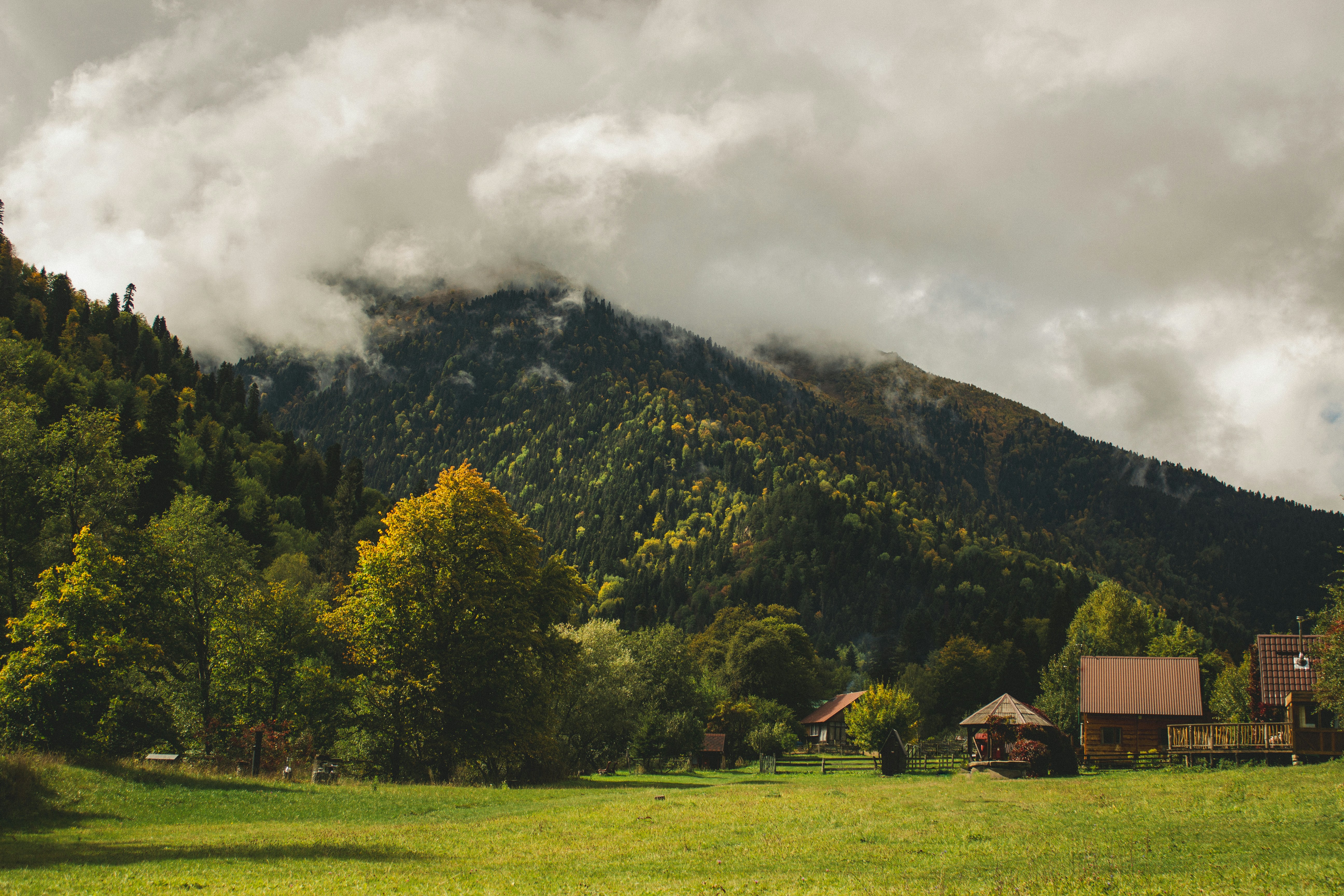 Photo by dzhioshvili