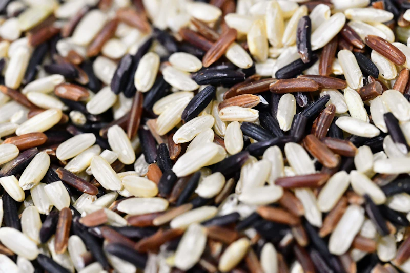 Close-up of rice and whole grains