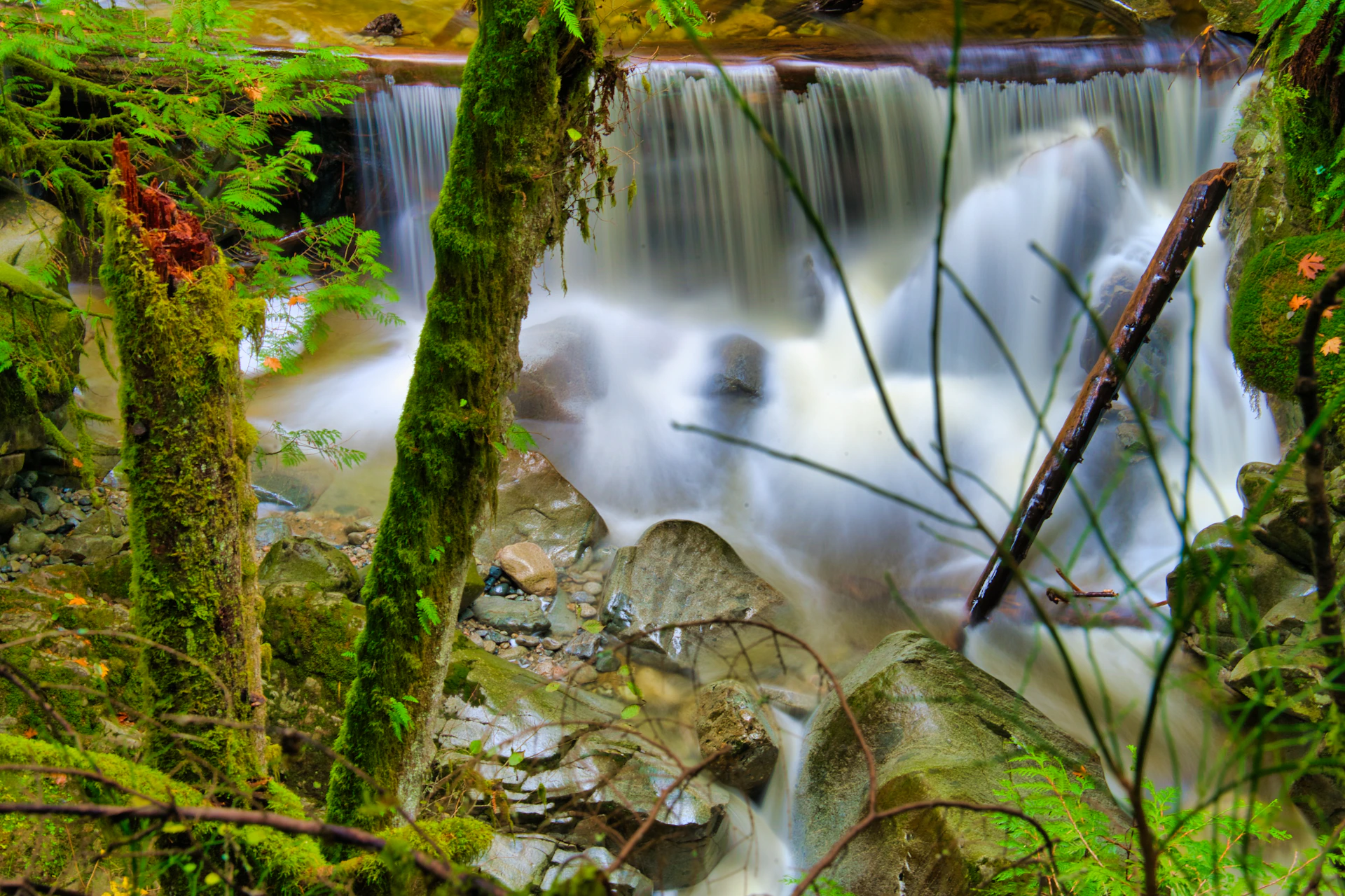 A small waterfall cascades through a mossy forest.