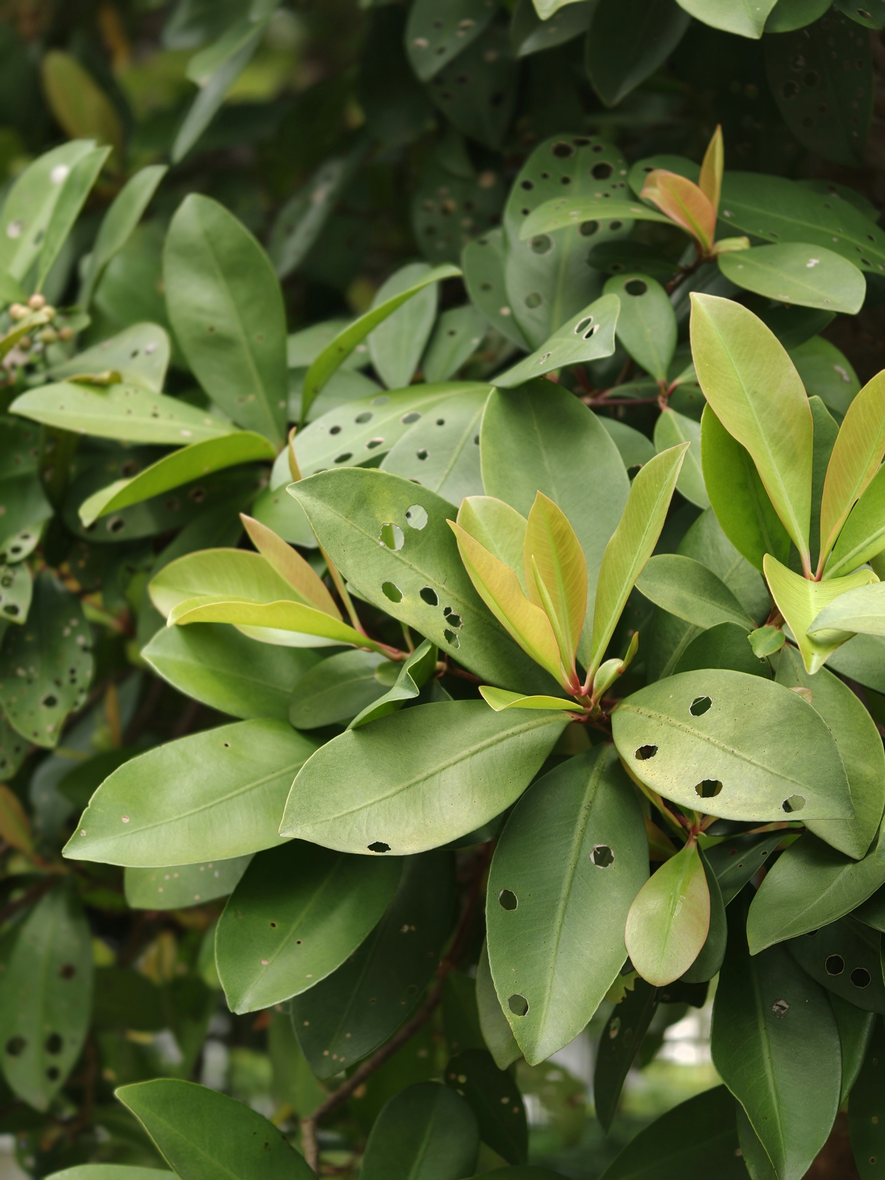 Photo by bijoyabraham