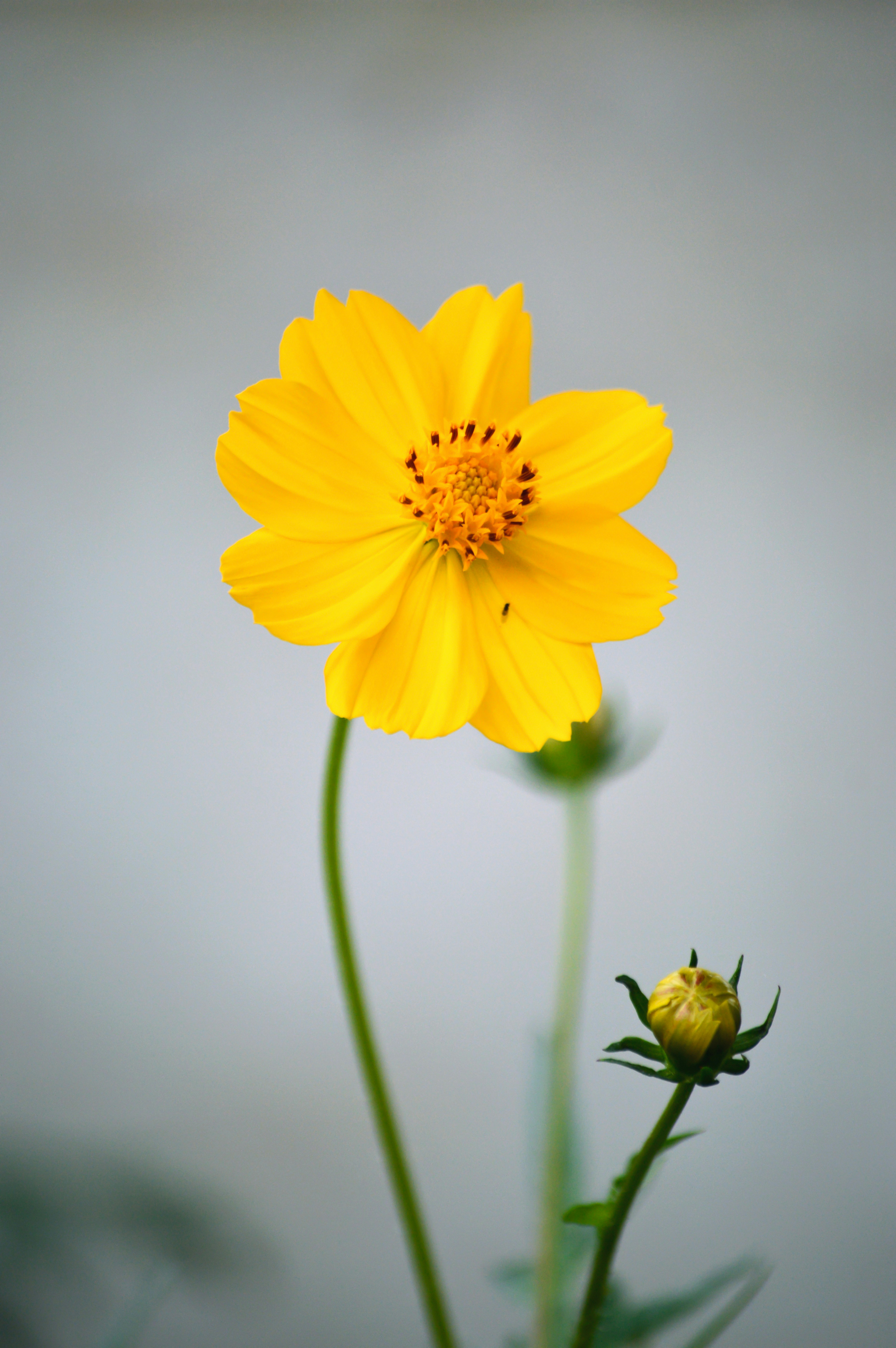 Photo by oscaralex16