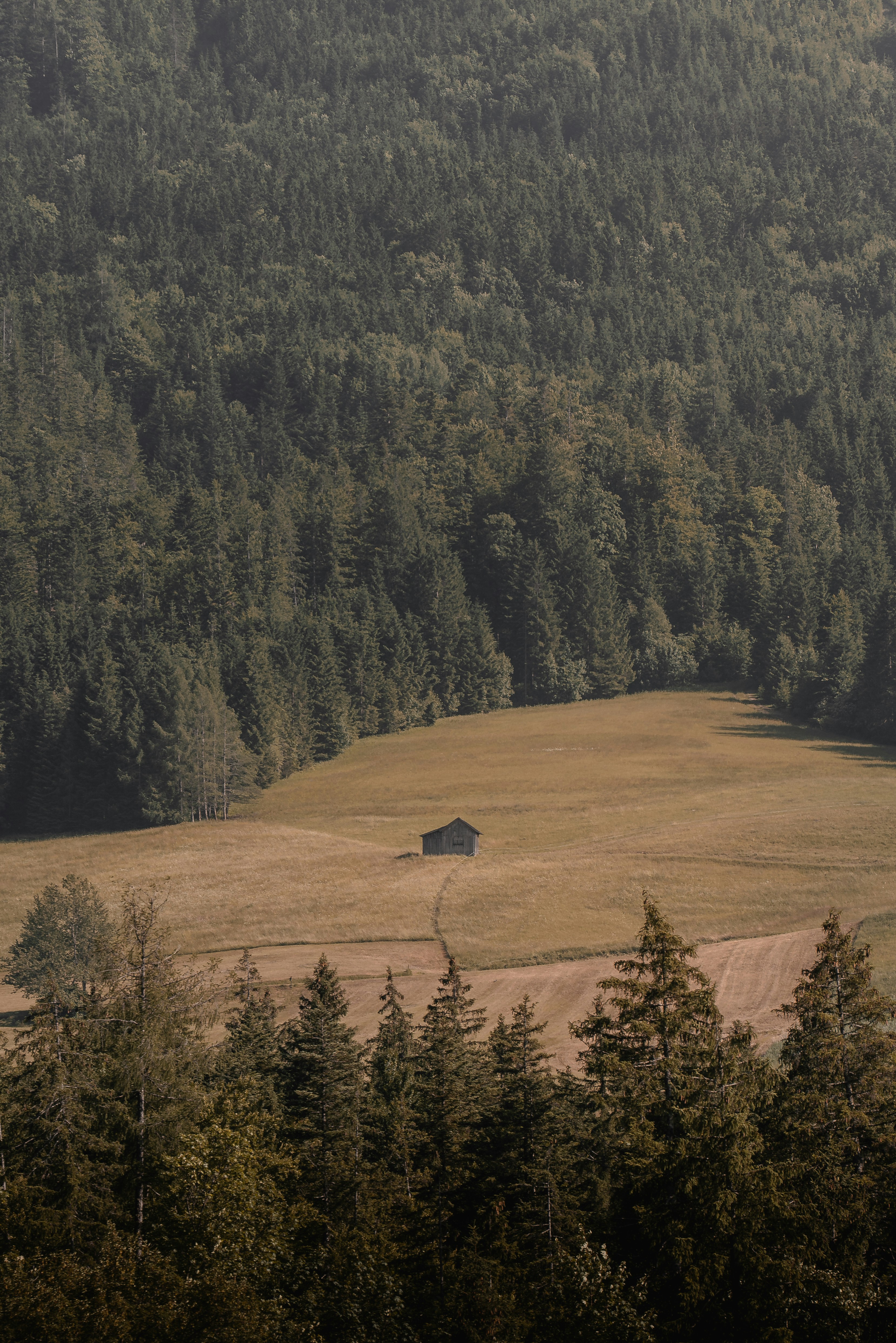 Photo by ahmetyuksek