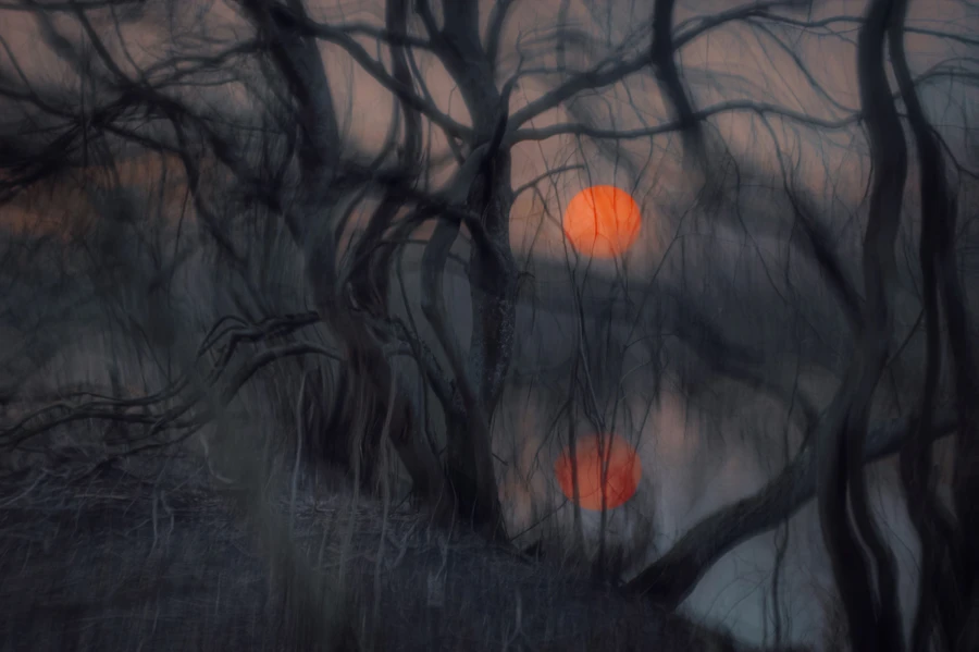 Photograph 5 by Eugene Golovesov