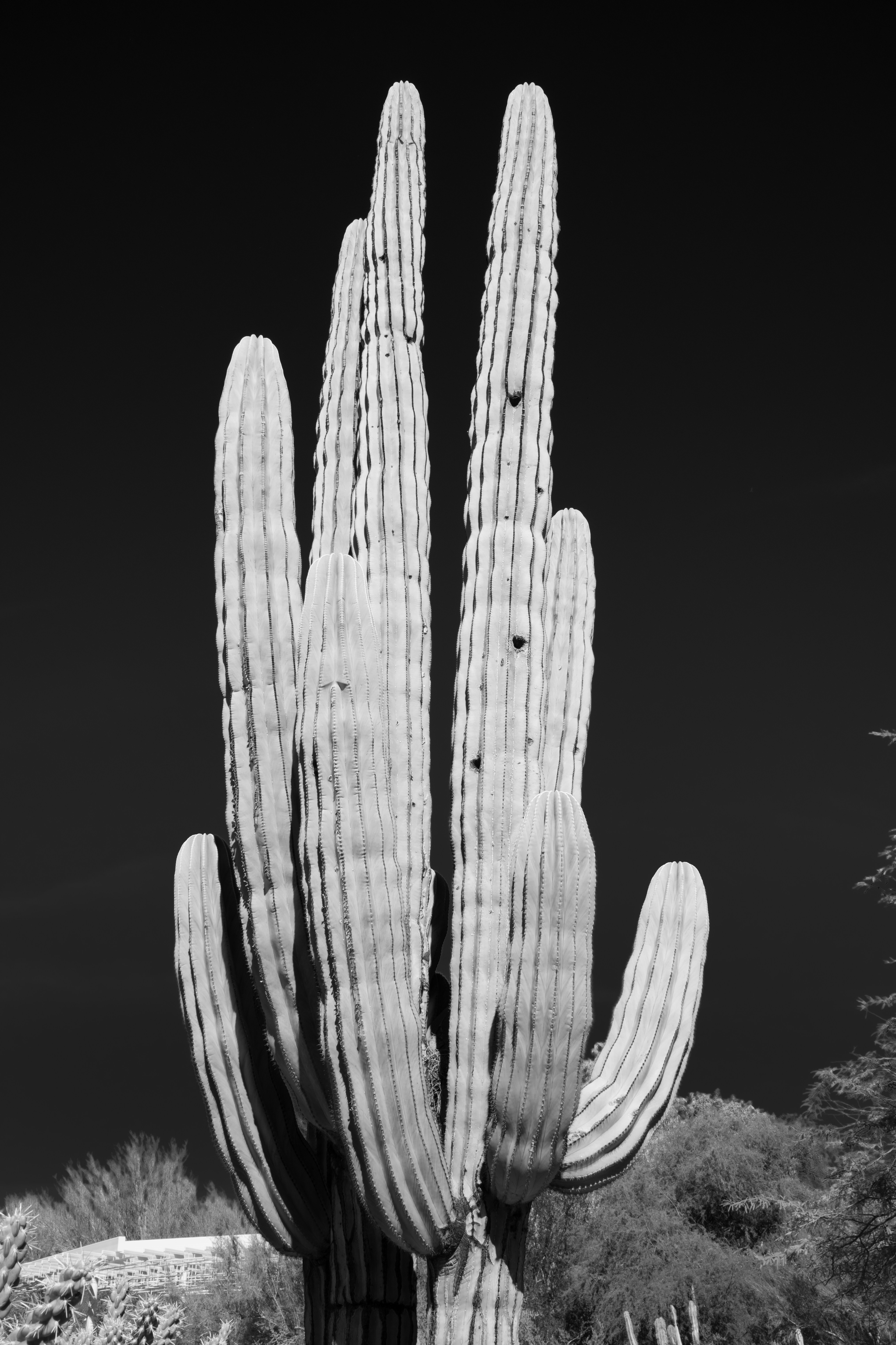 Photo by theolaflamme