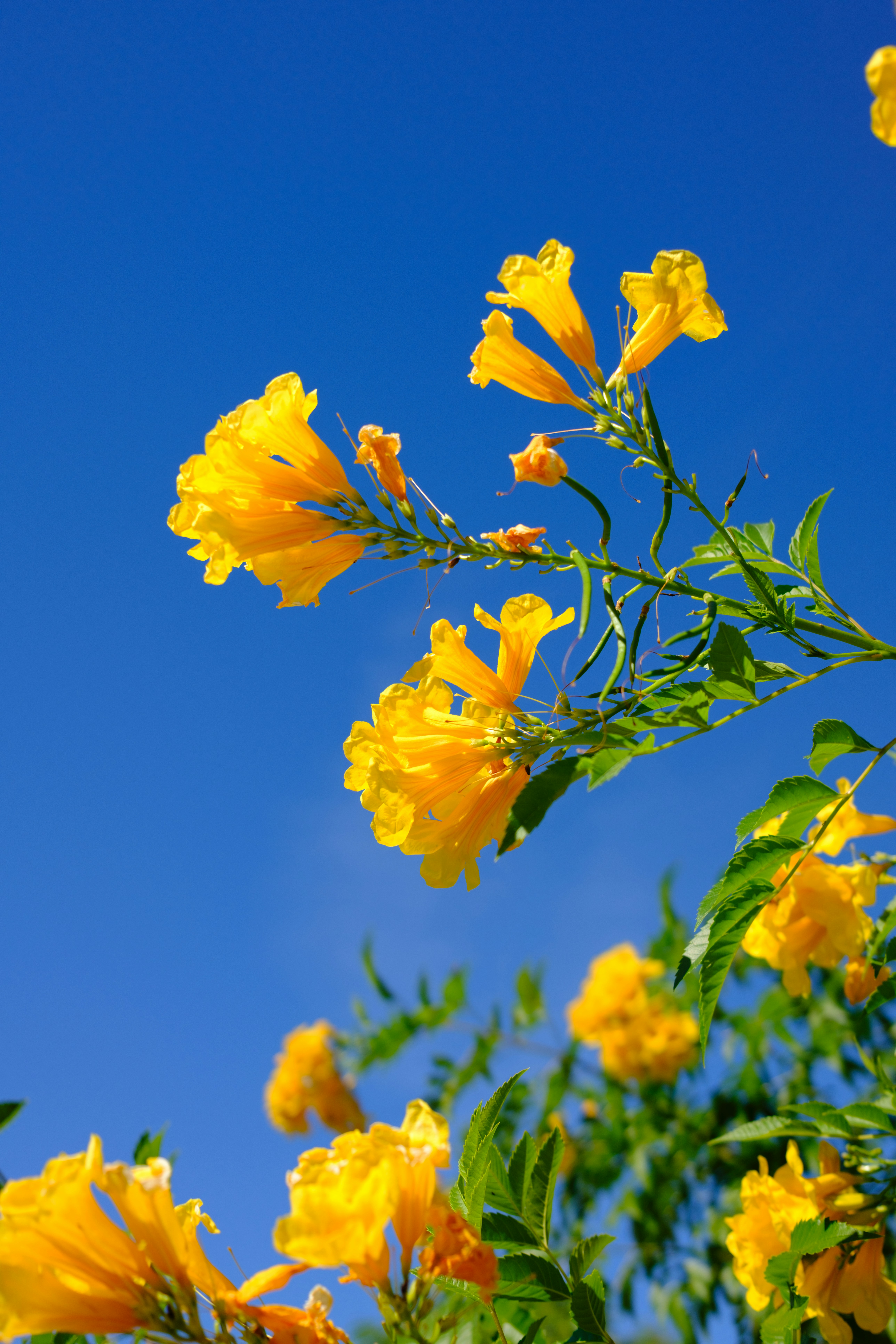 Photo by theolaflamme